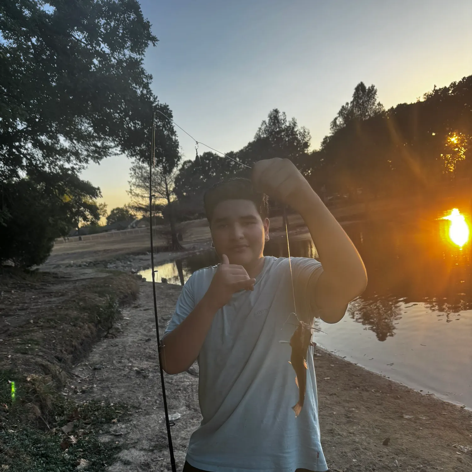 Channel catfish caught on Fishbrain