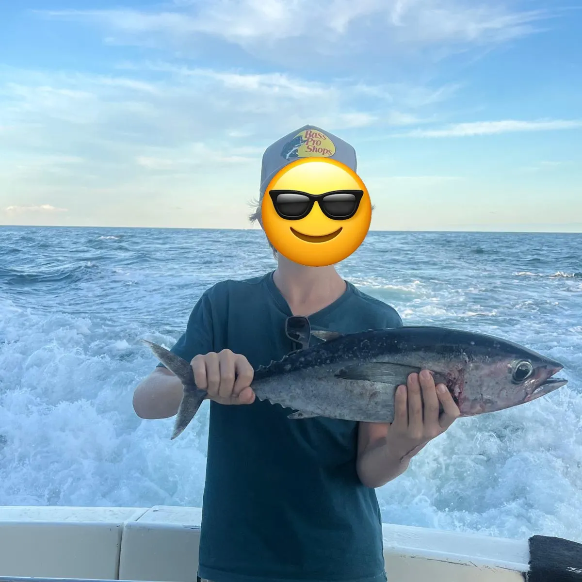 The most recent Blackfin tuna catches on Fishbrain