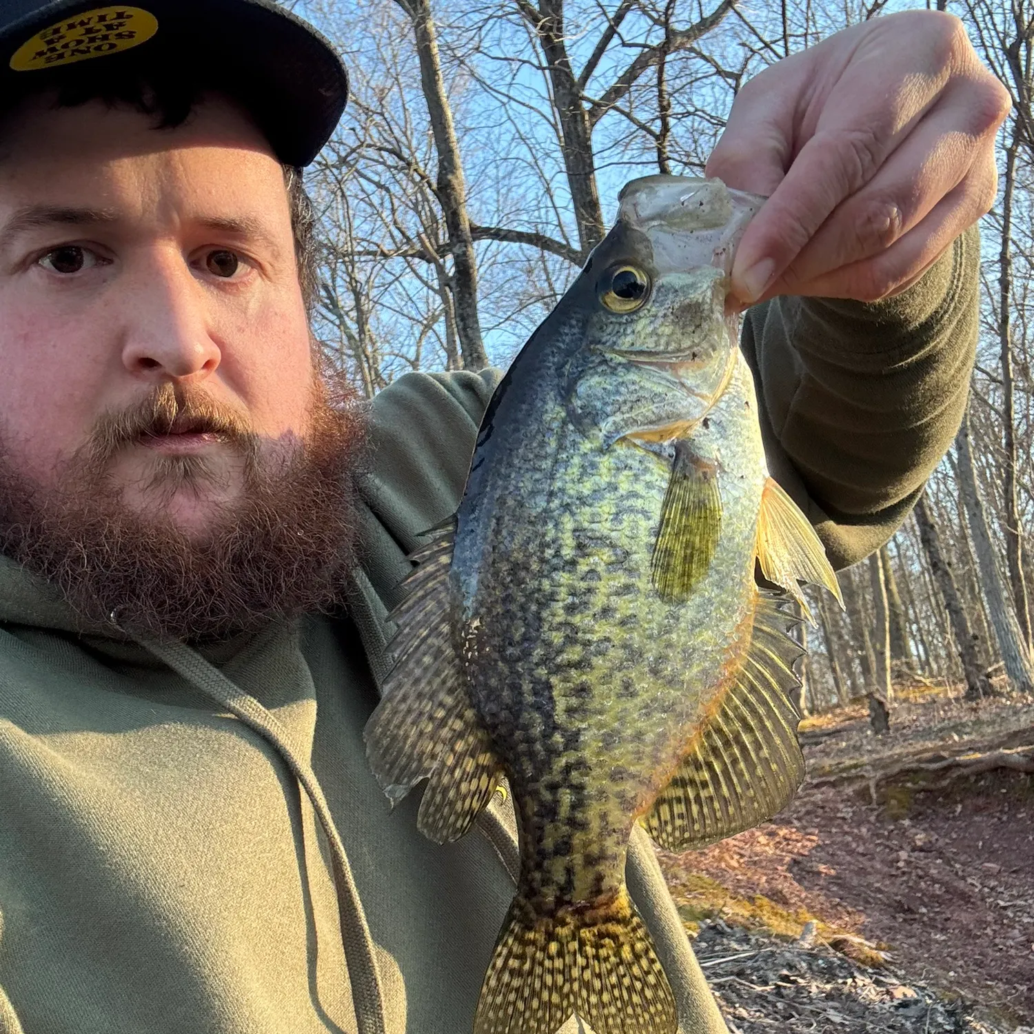 The most recent Black crappie catches on Fishbrain