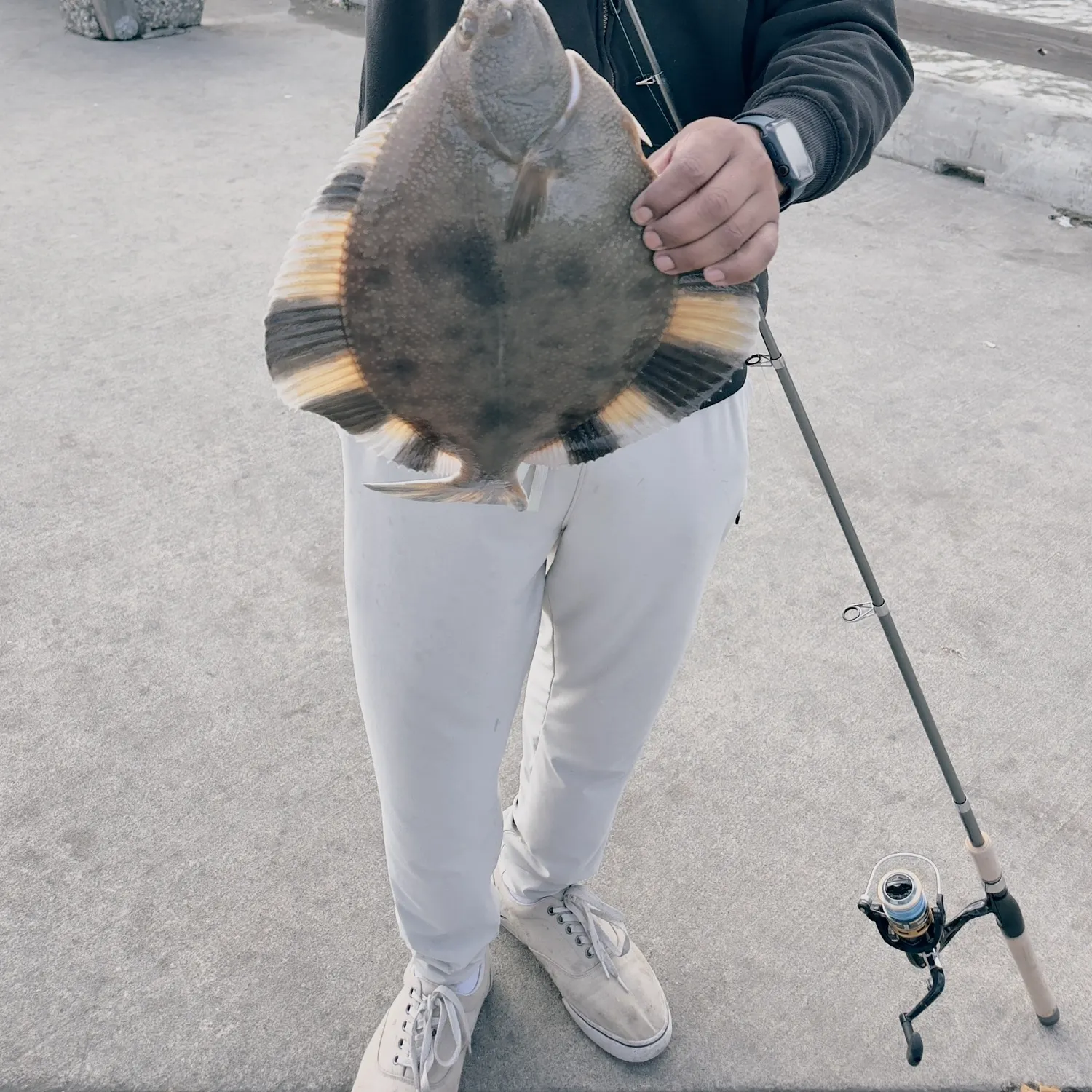 The most recent Starry flounder catches on Fishbrain