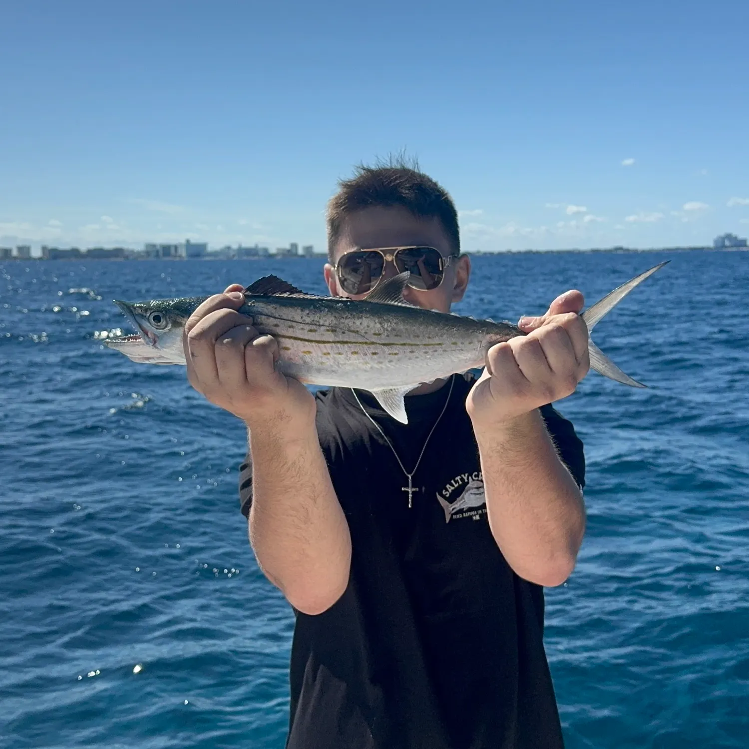 The most recent Serra Spanish mackerel catches on Fishbrain