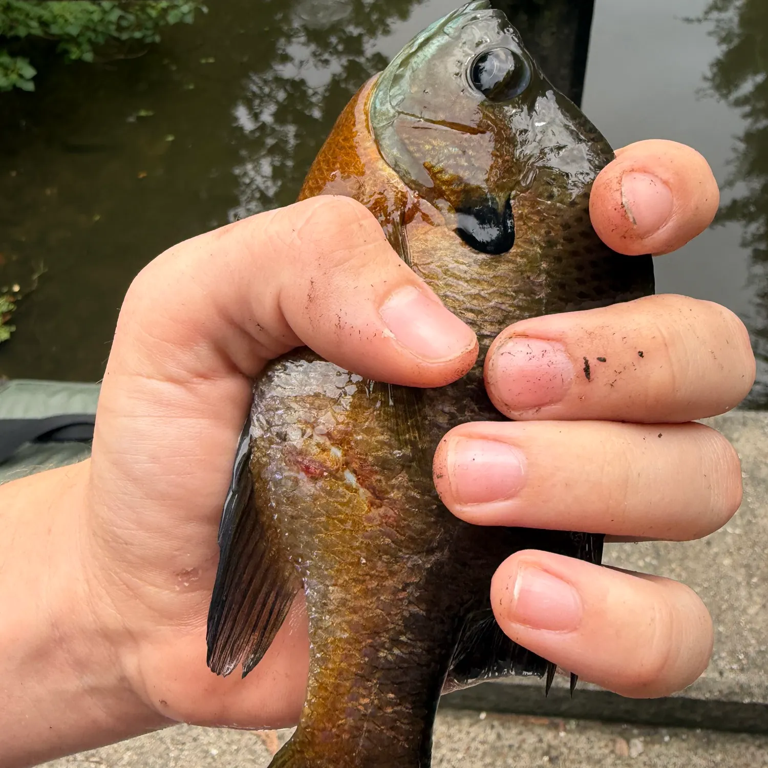 catch