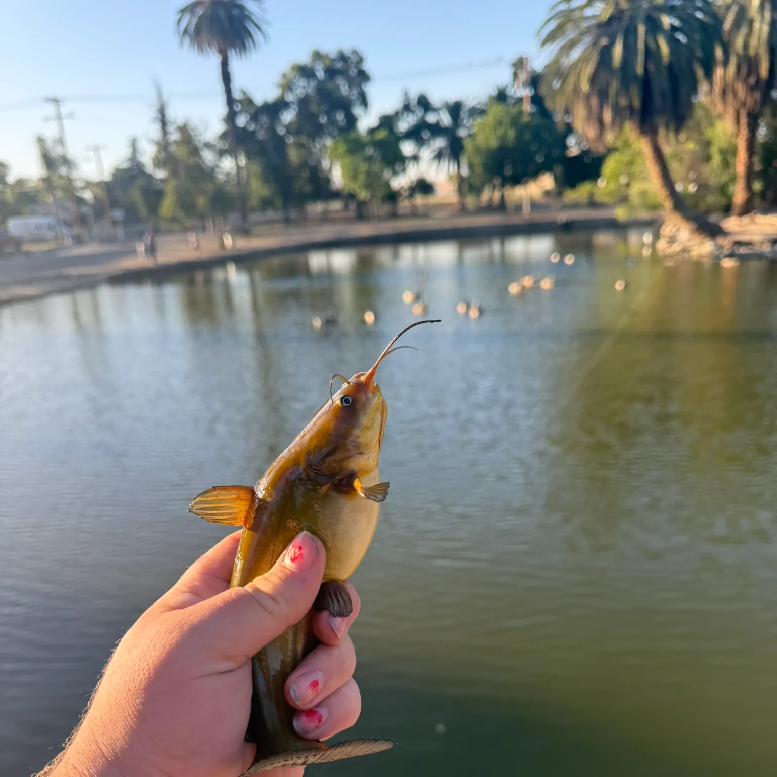 catch