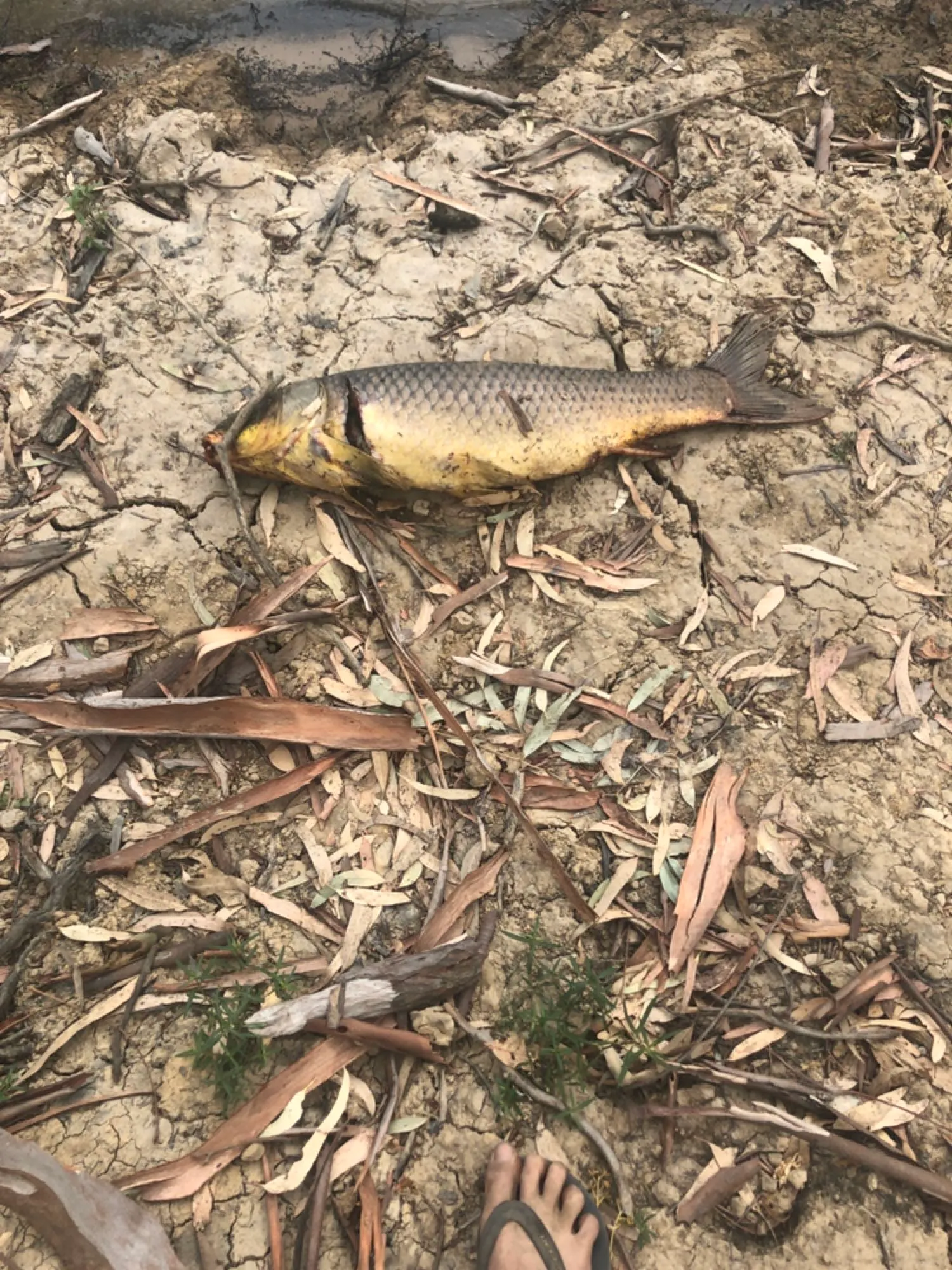 Post image from lukedunne