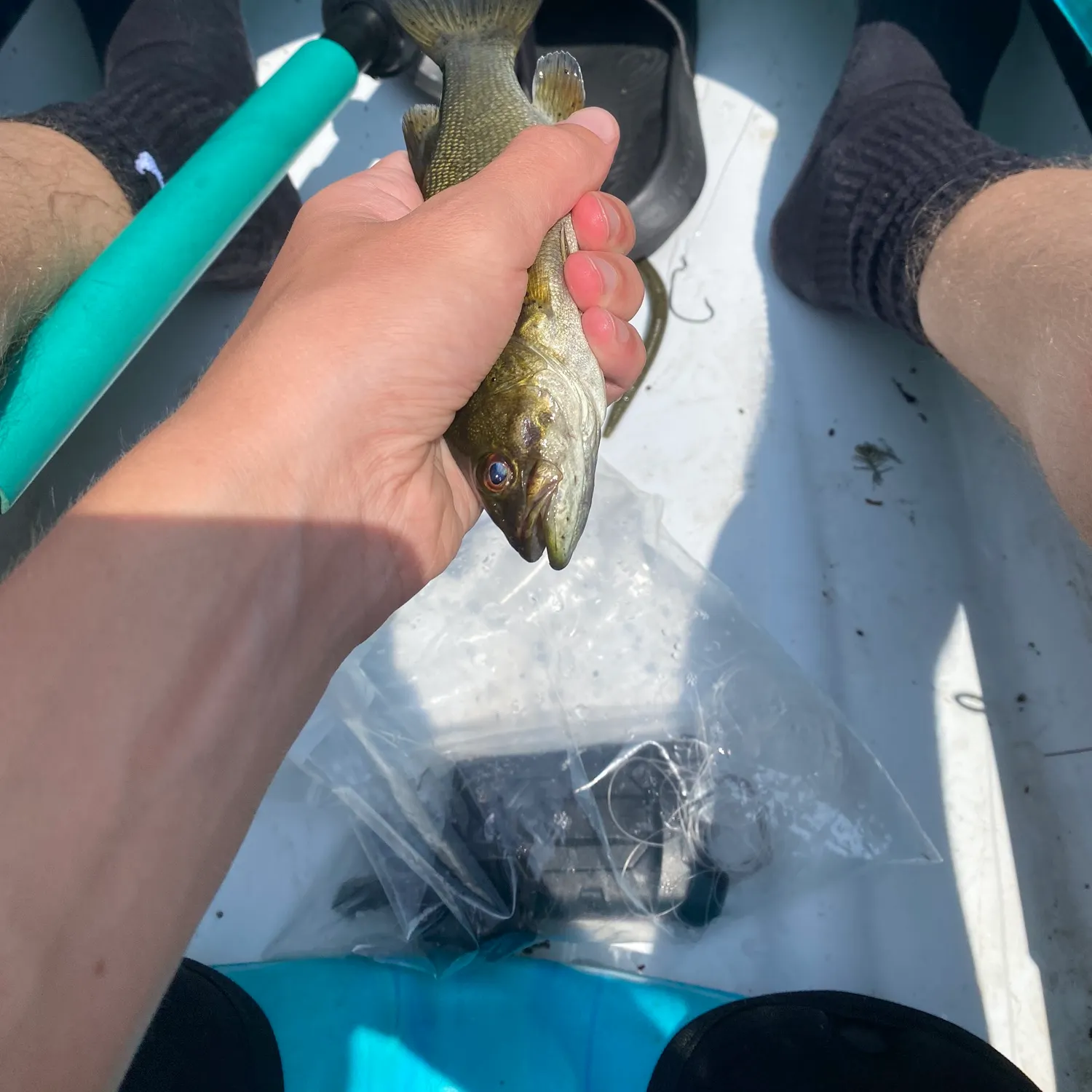 angler catch