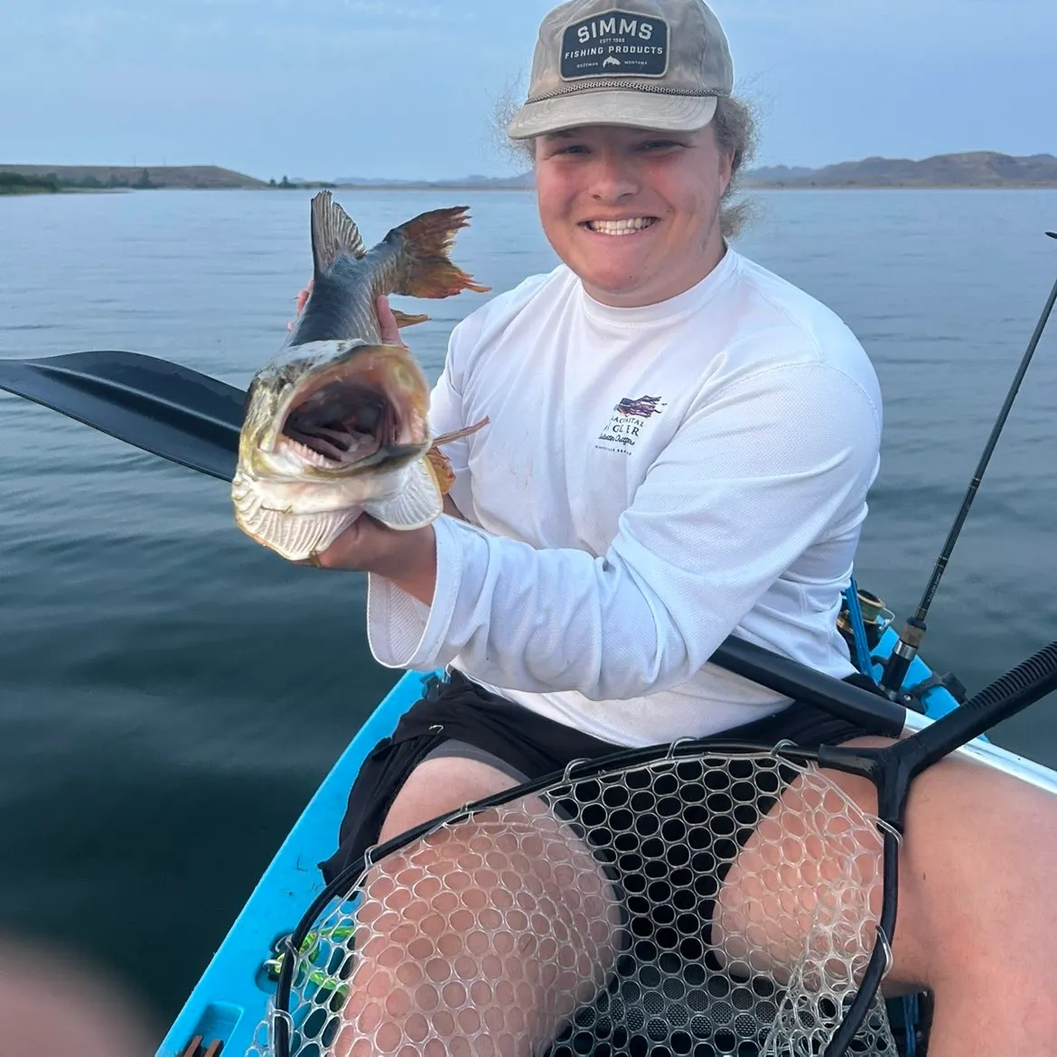 Tiger muskie caught on Fishbrain
