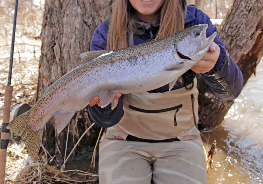 Steelhead