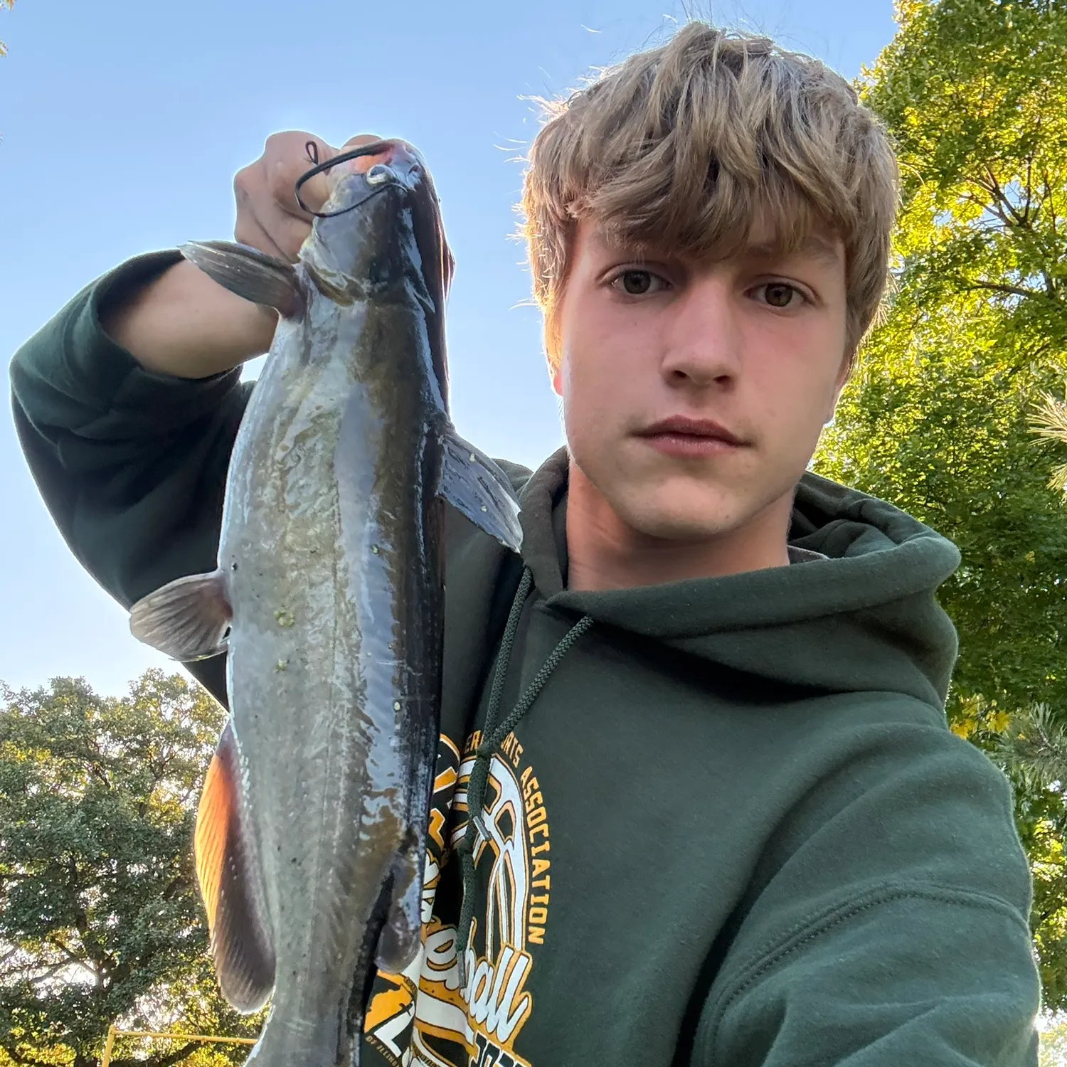 Channel catfish caught on Fishbrain