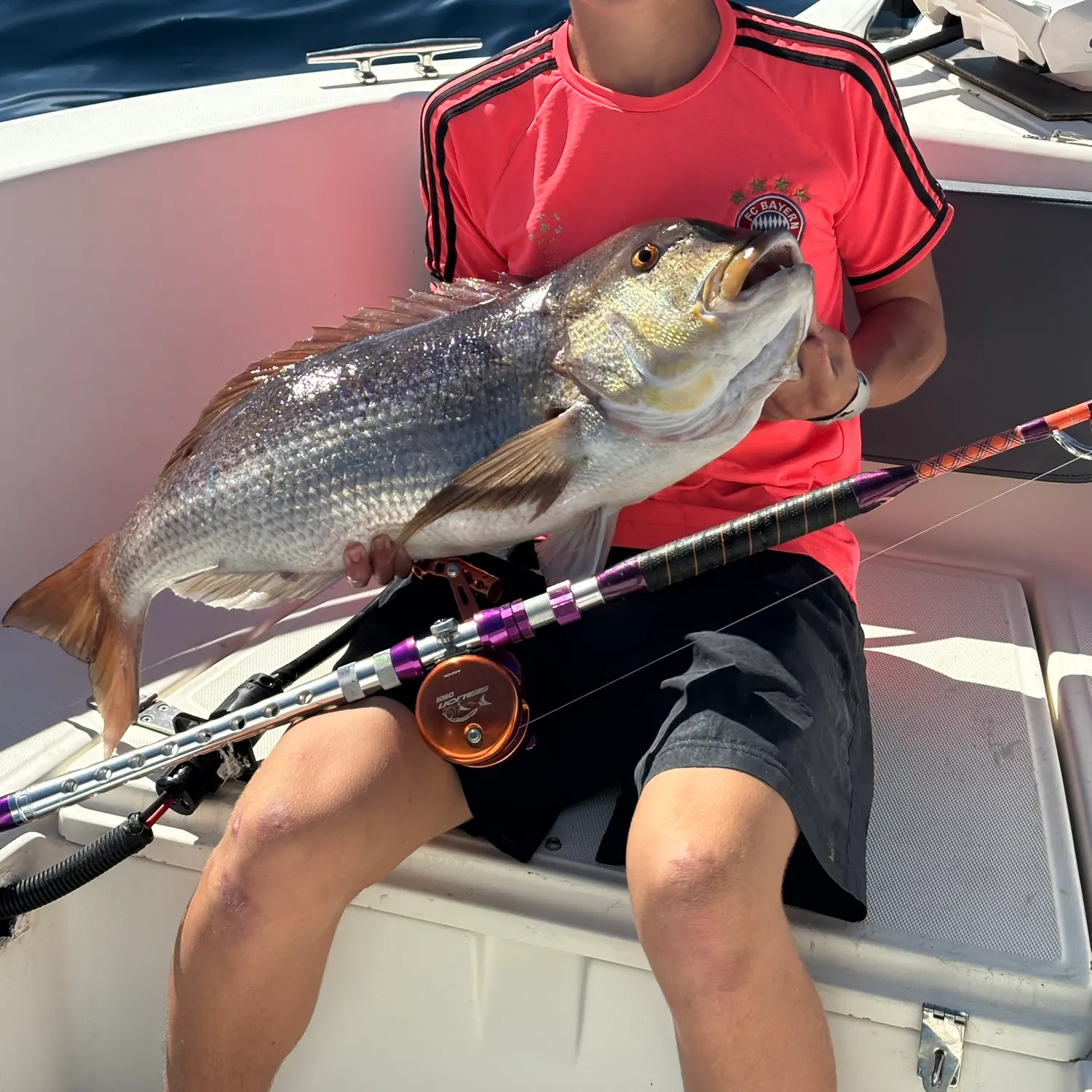 Common dentex caught on Fishbrain