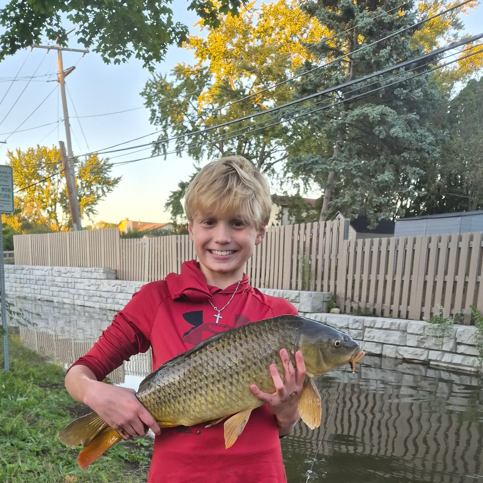 Common carp caught on Fishbrain