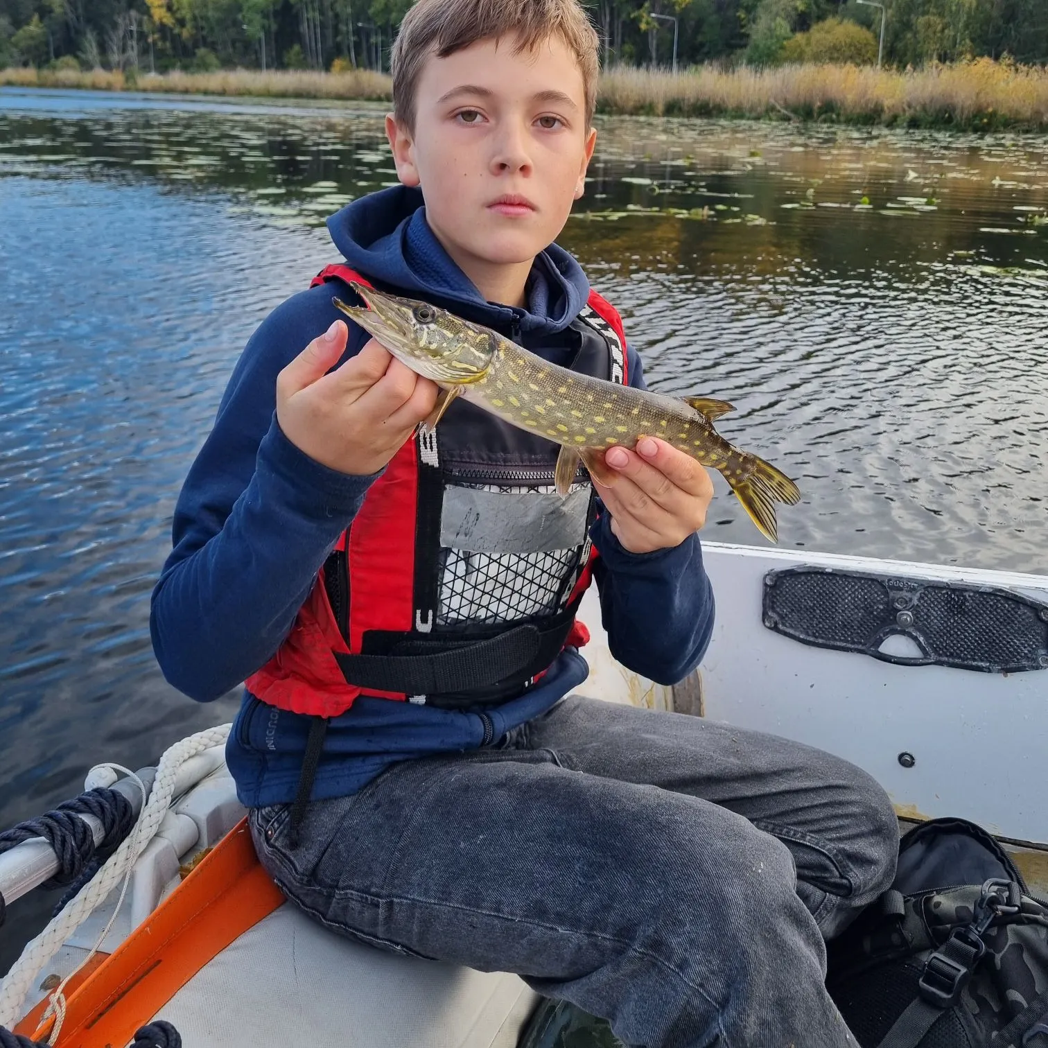 Northern pike caught on Fishbrain