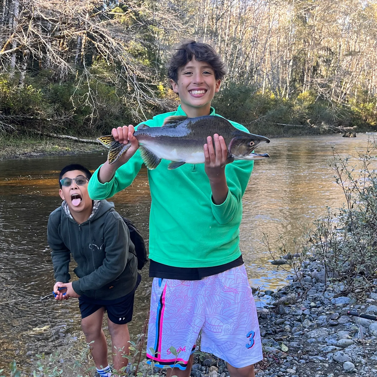 The most recent Pink salmon catches on Fishbrain
