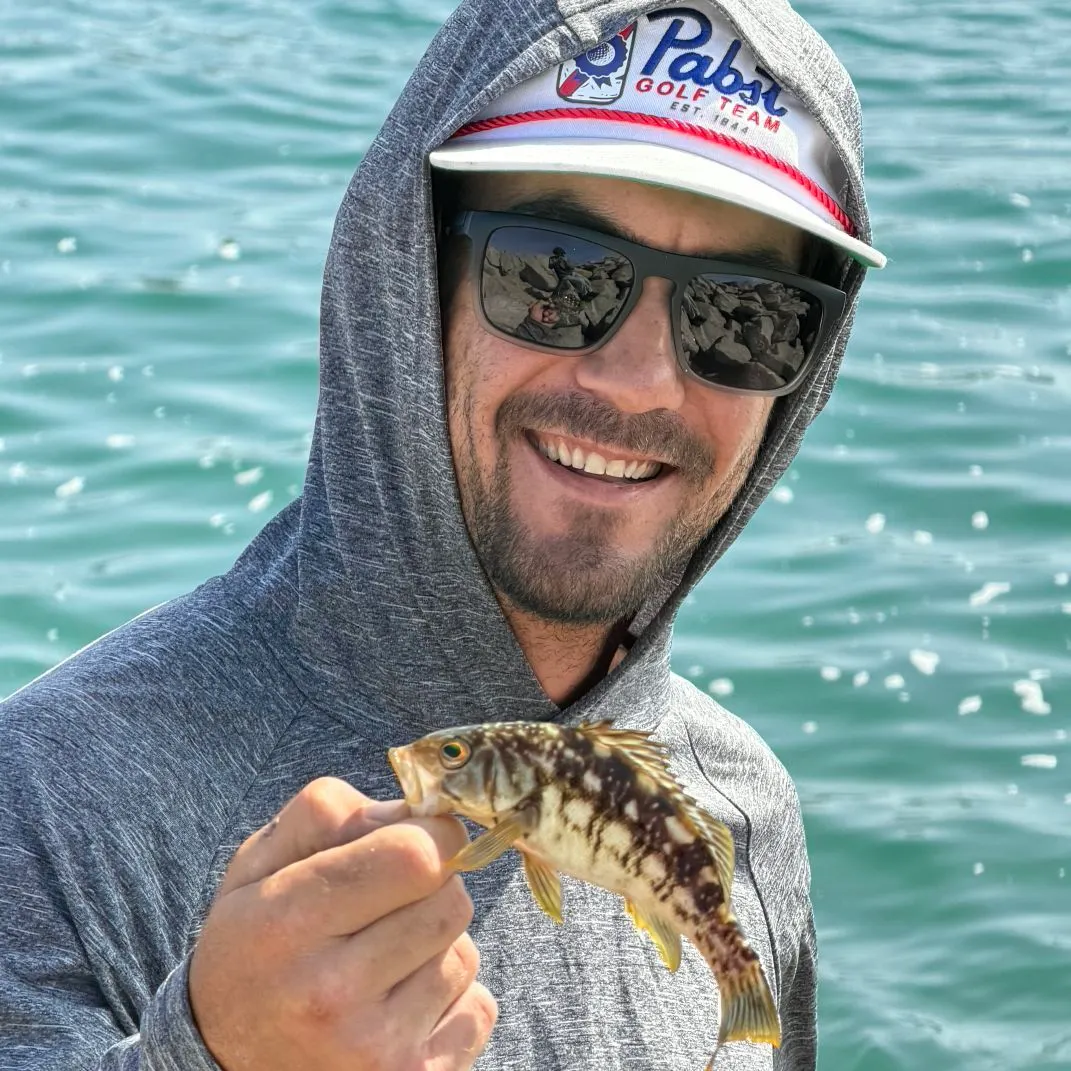 Spotted sand bass caught on Fishbrain