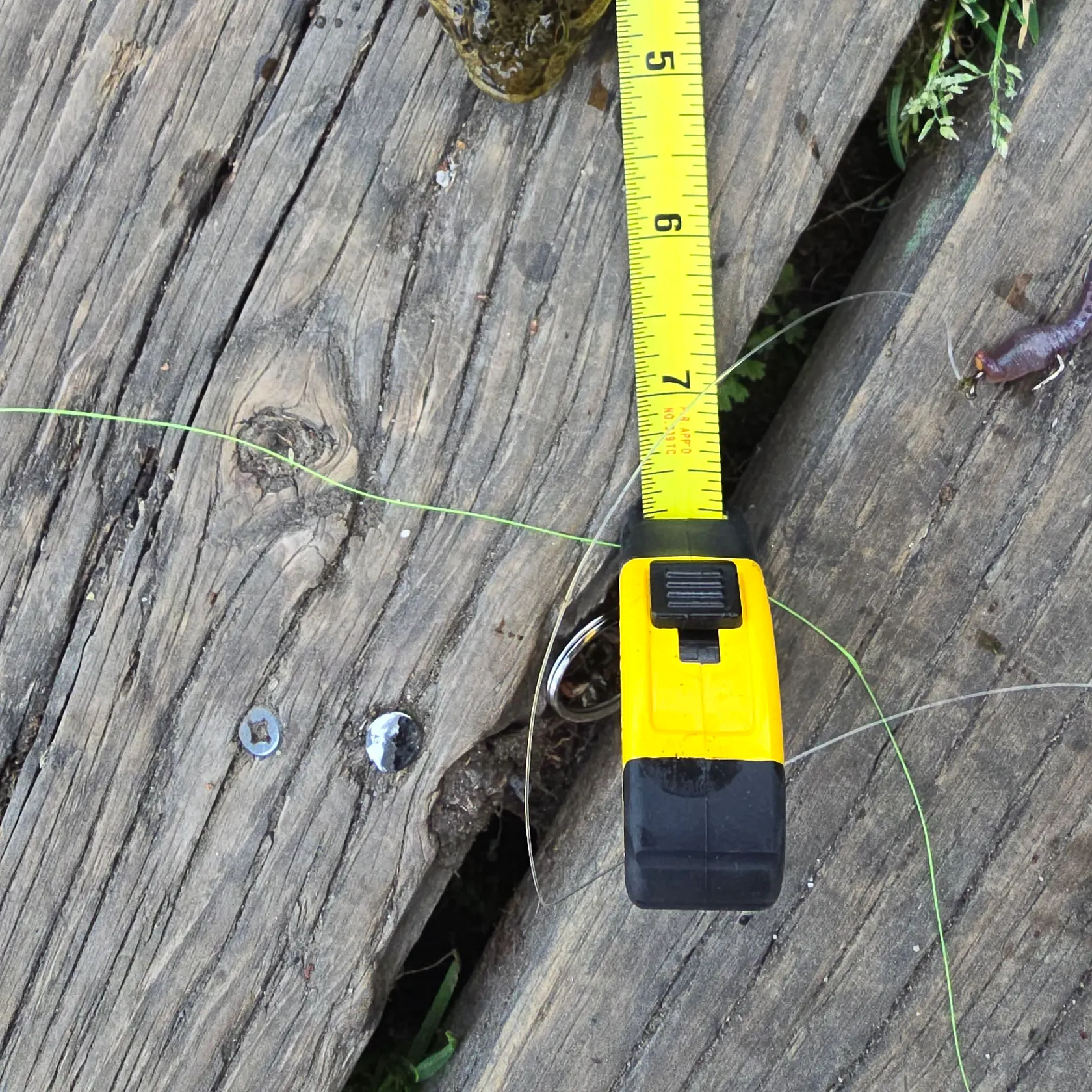The most recent Coastrange sculpin catches on Fishbrain