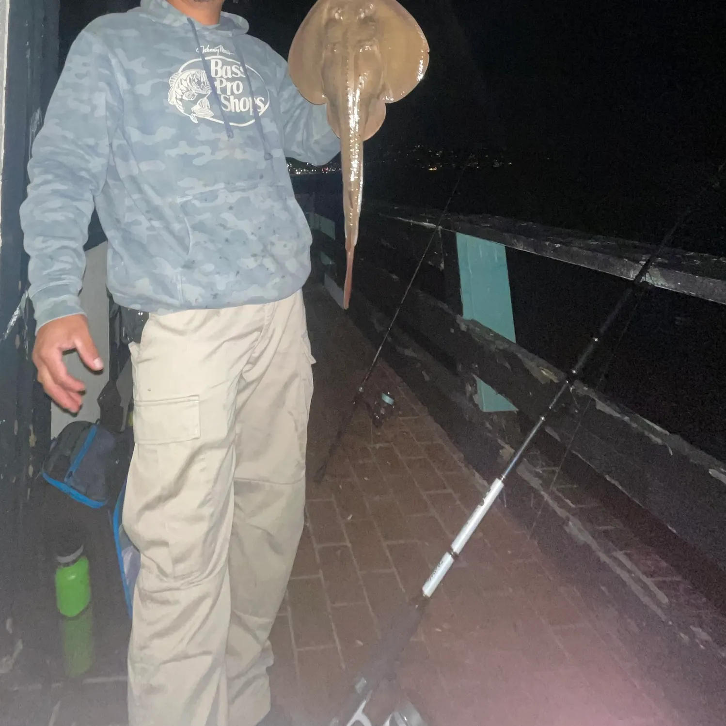 The most recent Thornback ray catches on Fishbrain