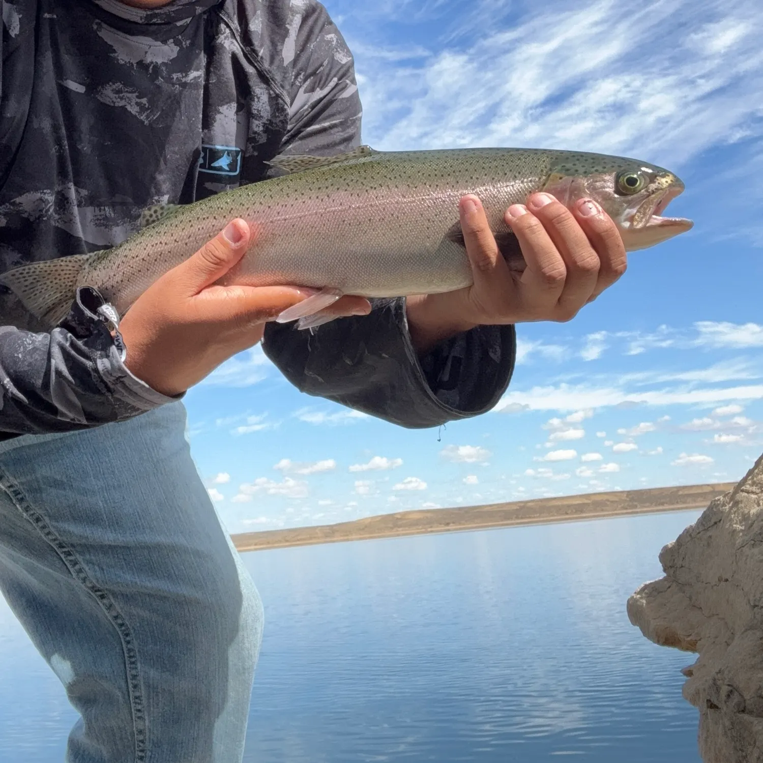 Rainbow trout caught on Fishbrain