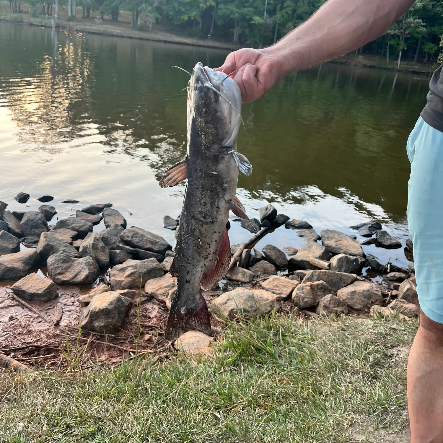 catch