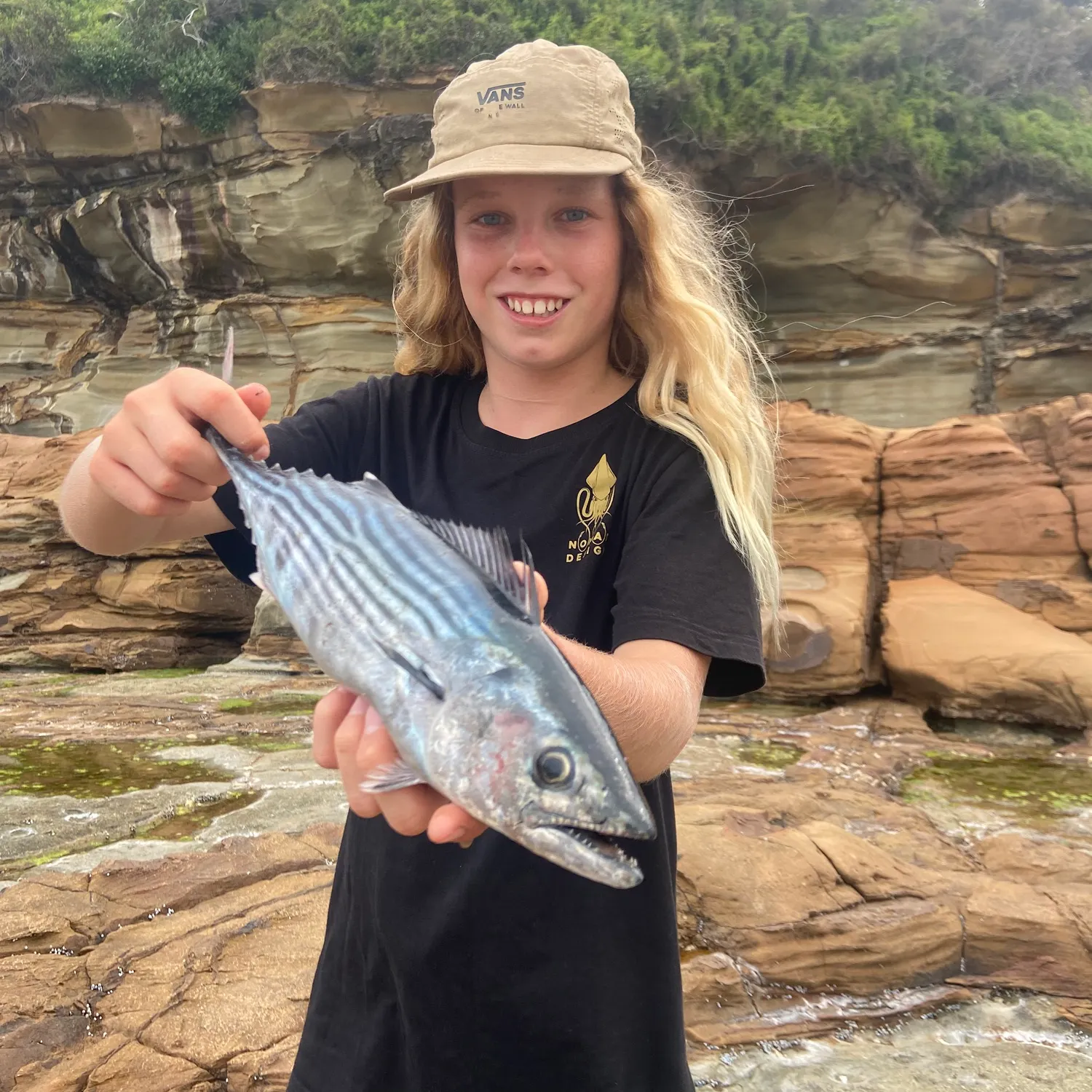 The most recent Striped bonito catches on Fishbrain
