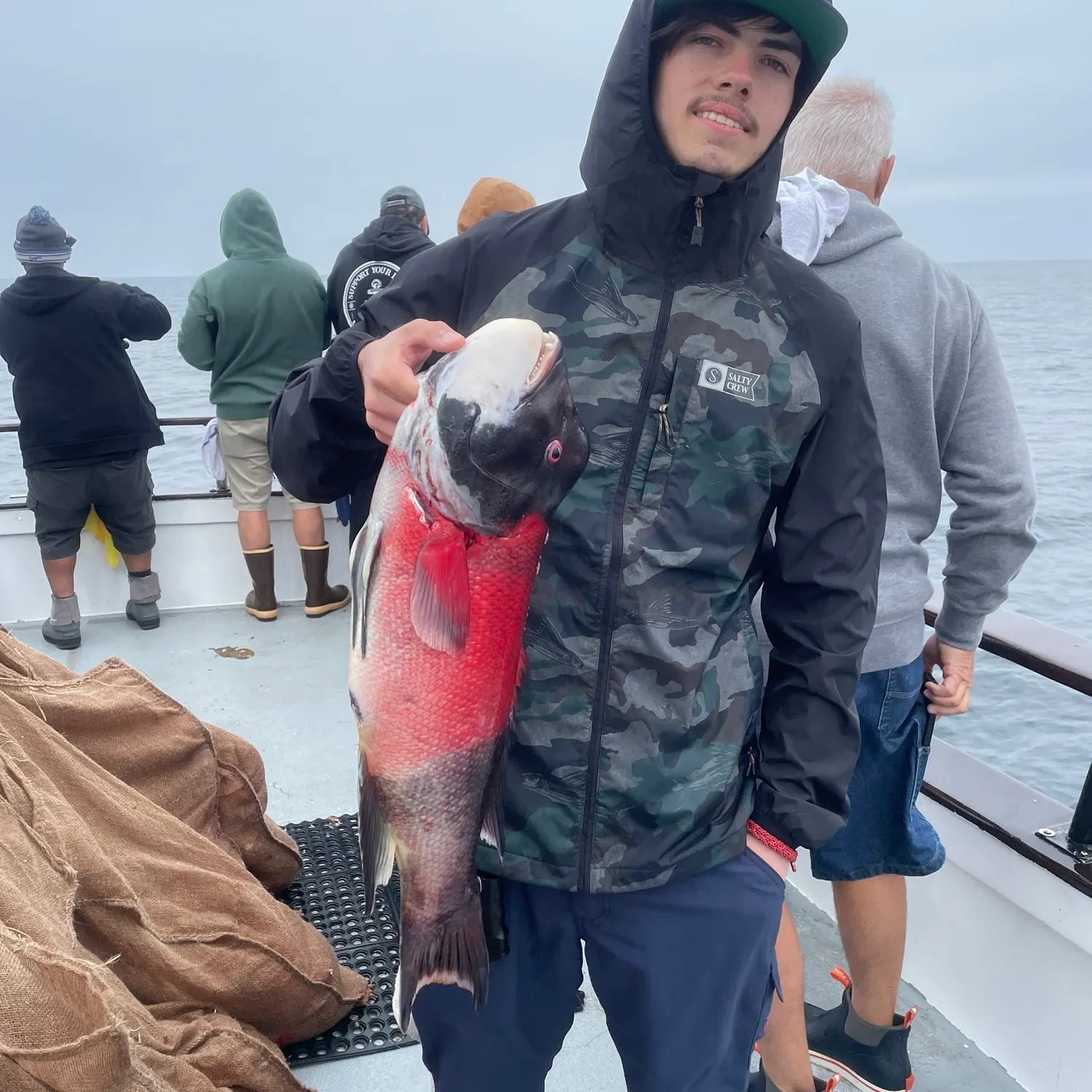 The most recent California sheephead catches on Fishbrain