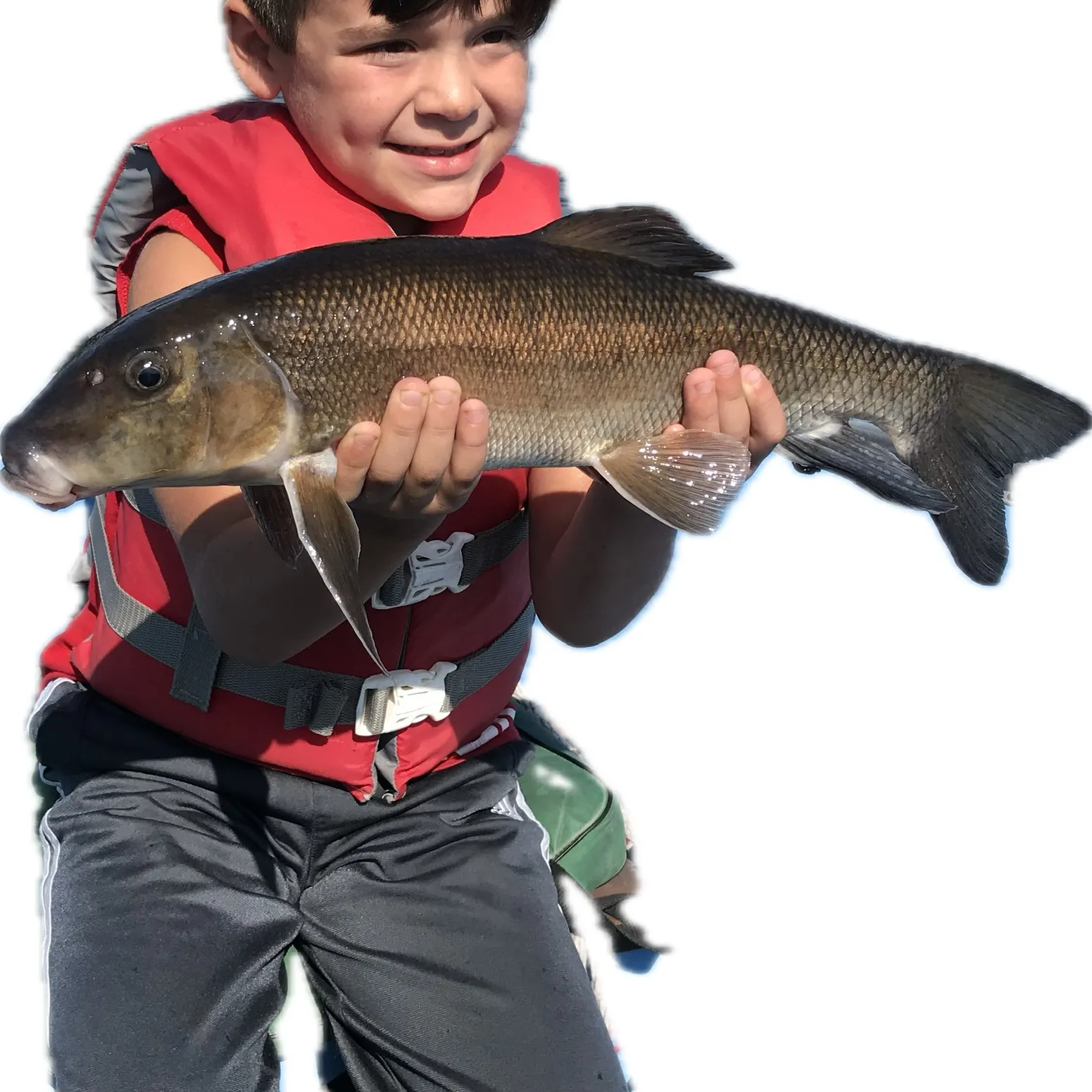 The most recent Sacramento sucker catches on Fishbrain