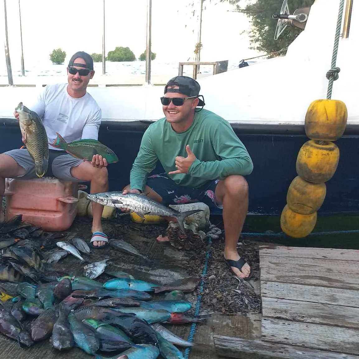 recently logged catches