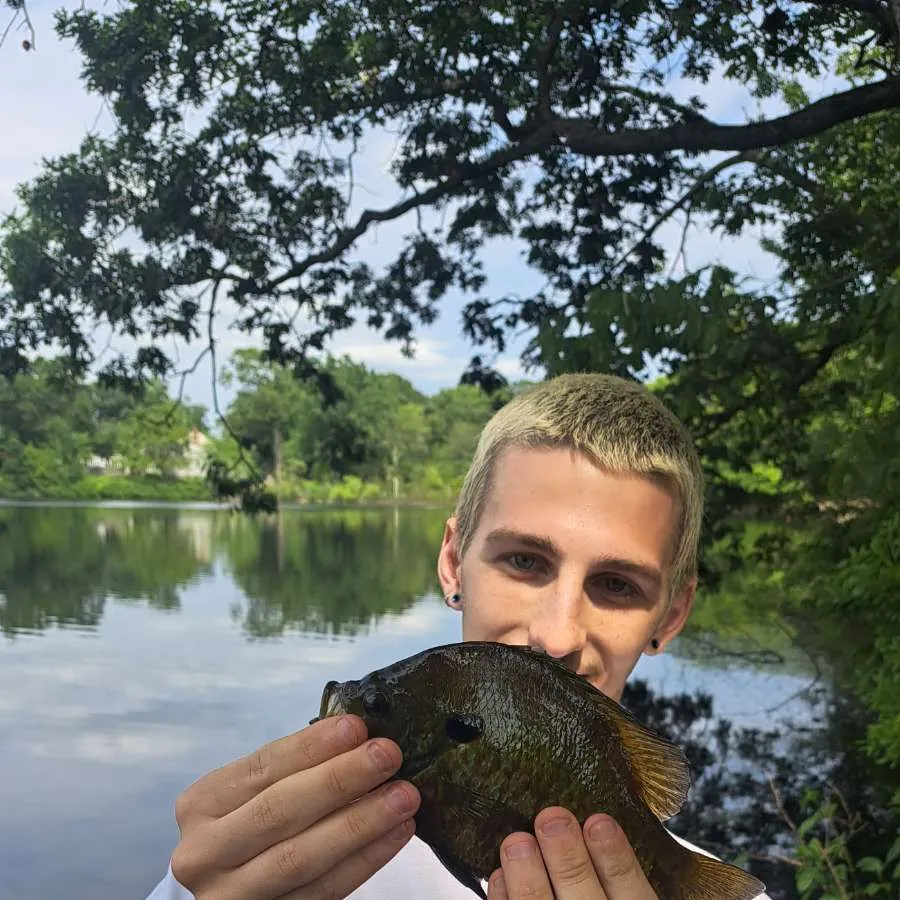 angler catch
