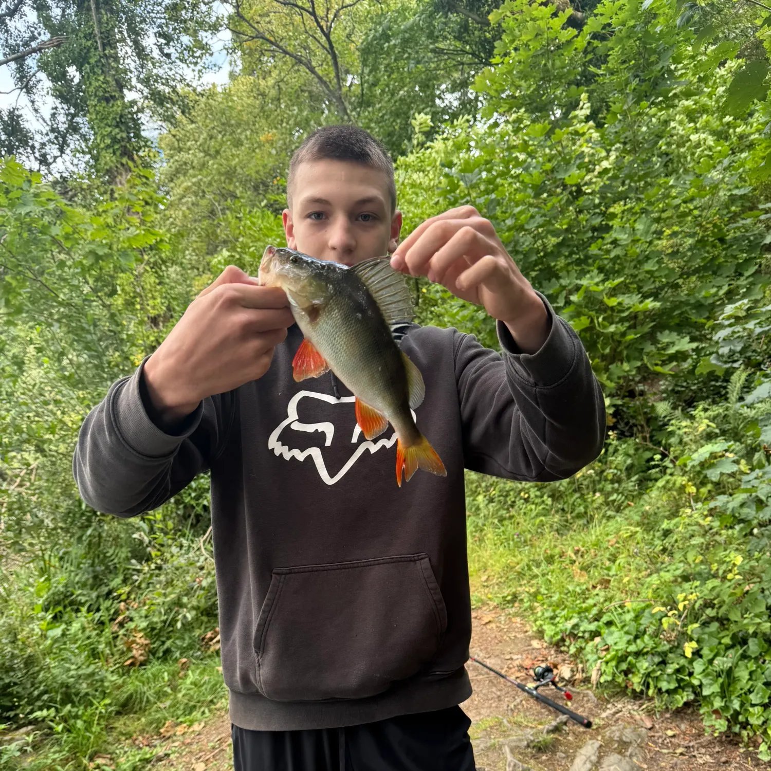 European perch caught on Fishbrain
