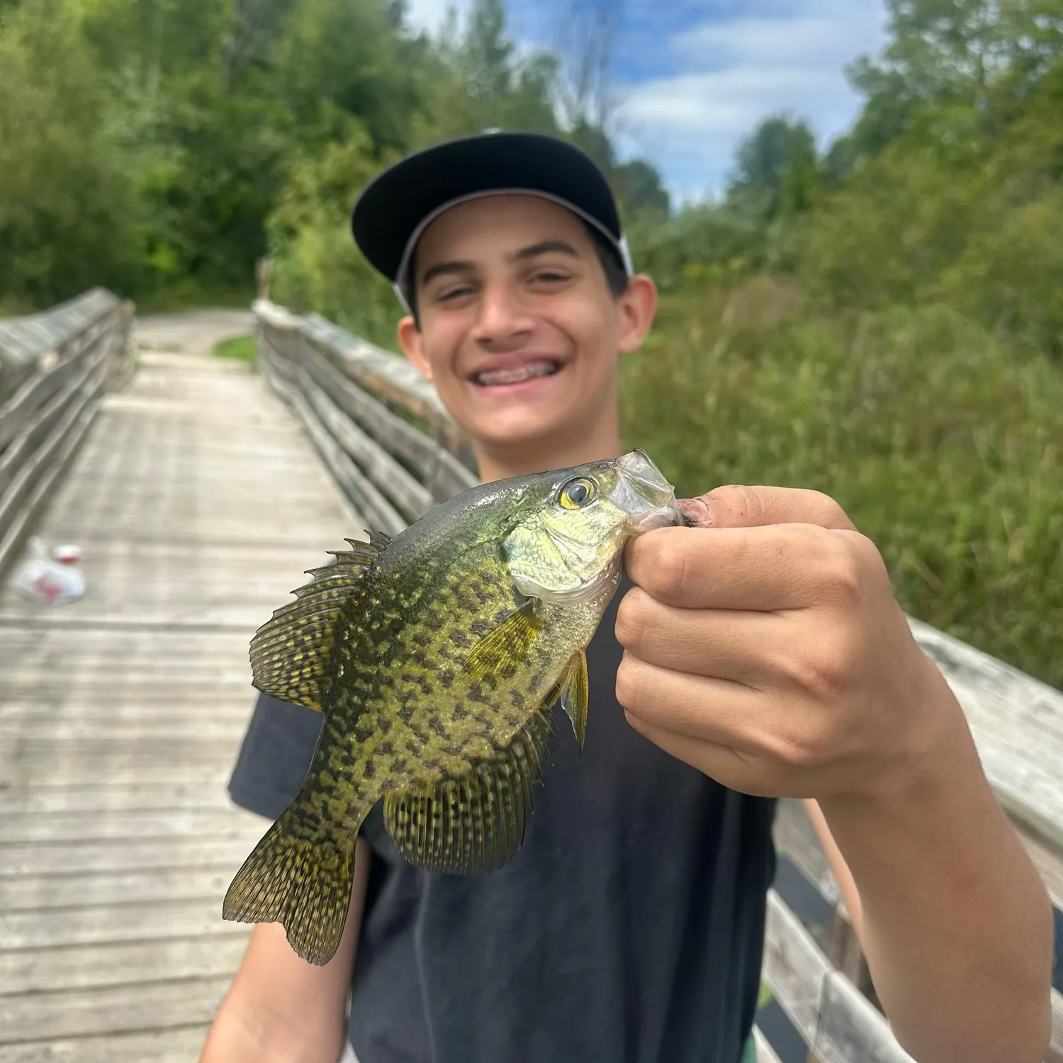 Black crappie caught on Fishbrain