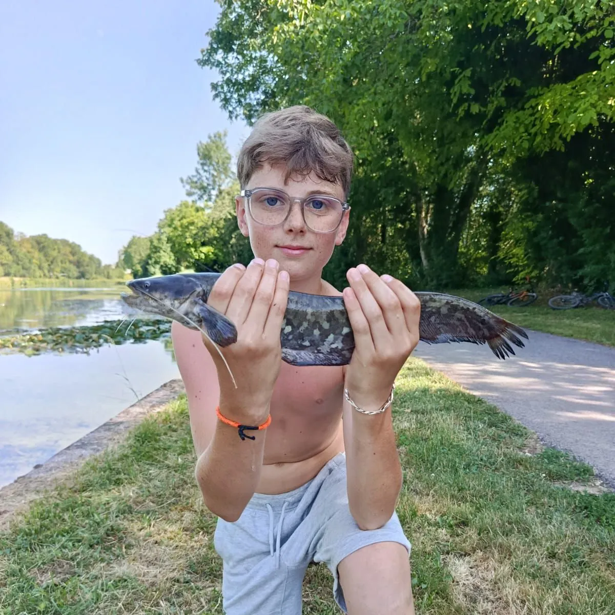 The most recent Amur catfish catches on Fishbrain