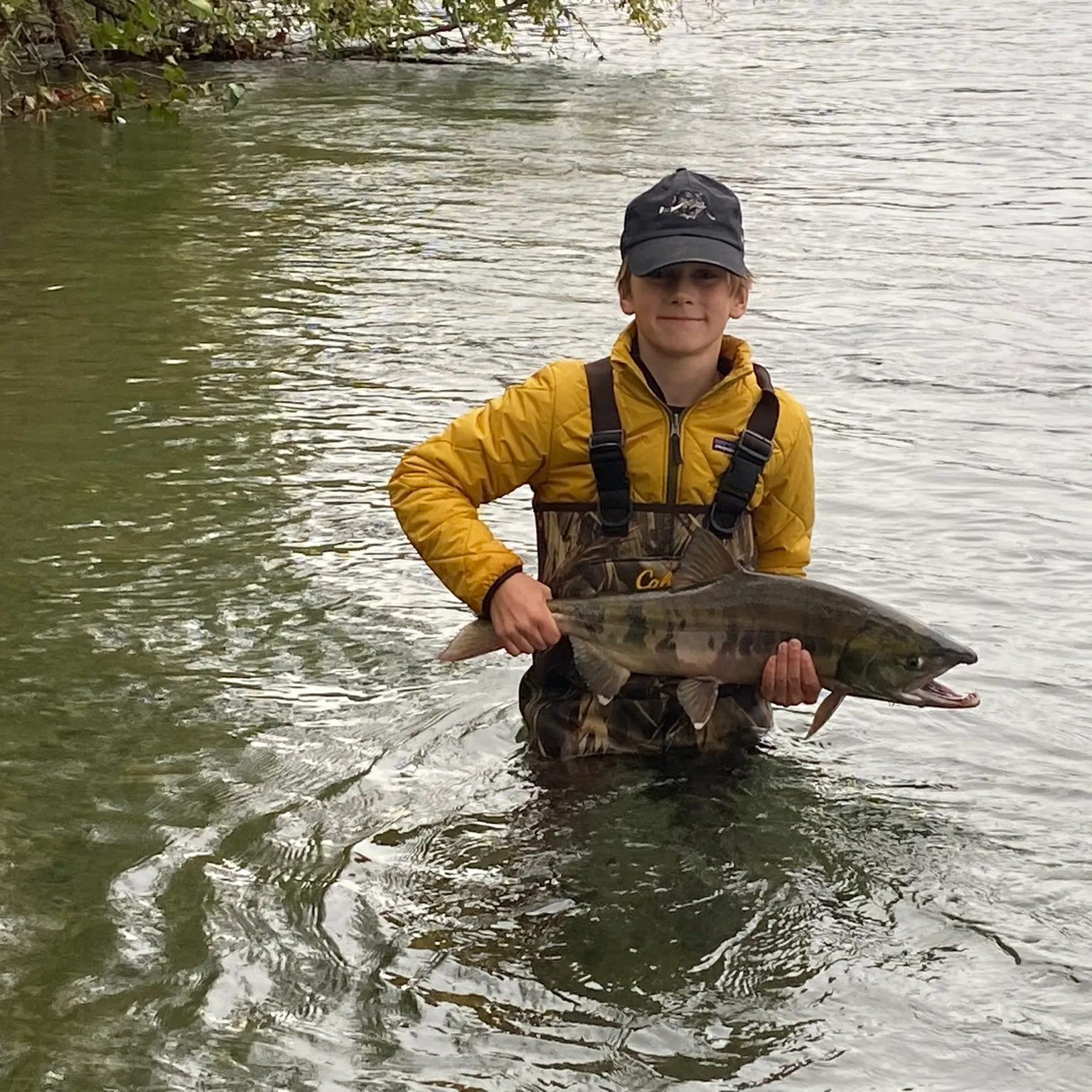 The most recent Chum salmon catches on Fishbrain