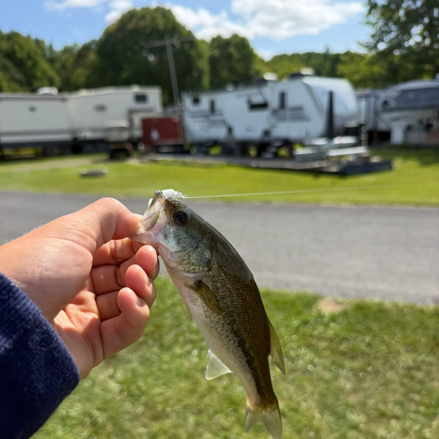 Fish caught on Fishbrain