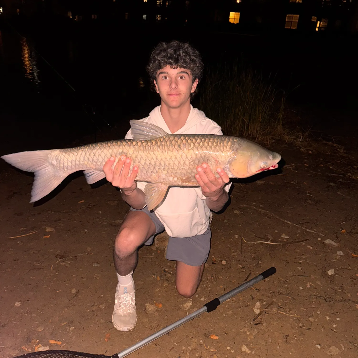 The most recent Grass carp catches on Fishbrain