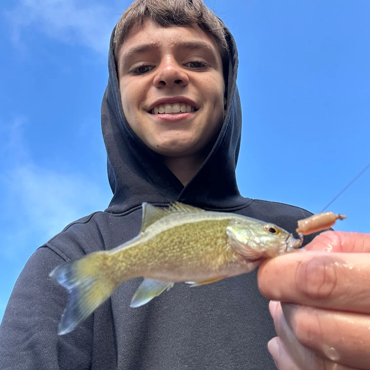 Smallmouth bass caught on Fishbrain
