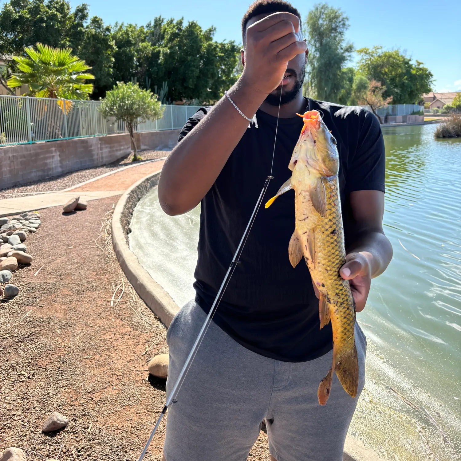 catch