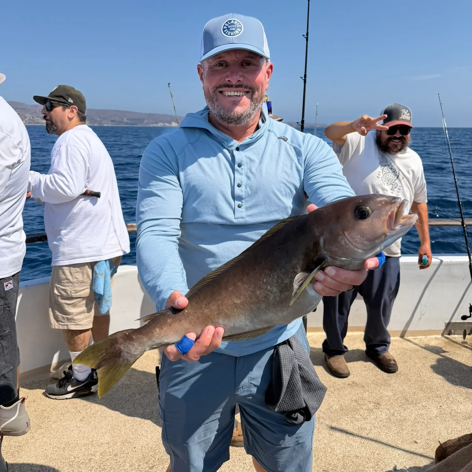 Ocean whitefish caught on Fishbrain