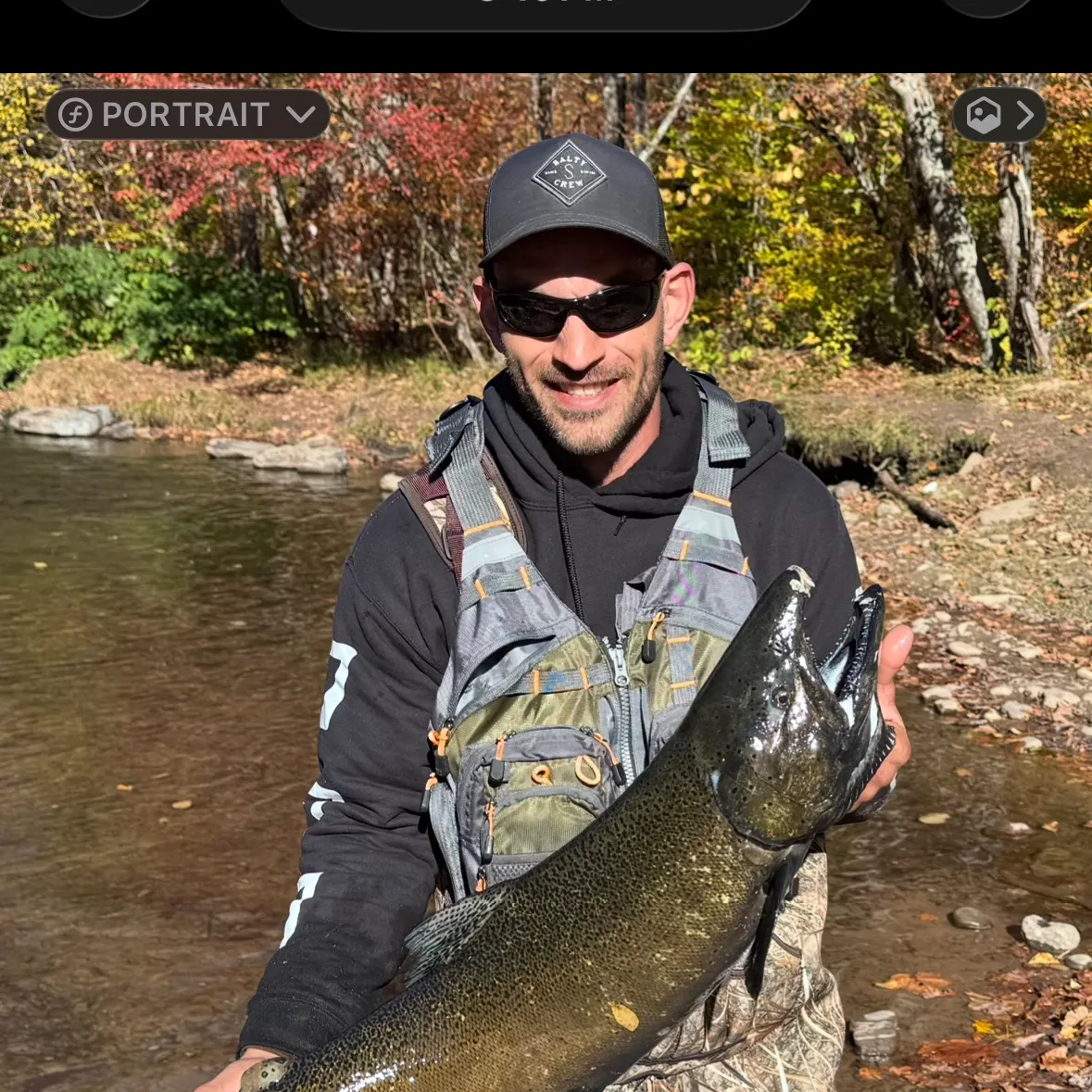 The most recent Atlantic salmon catches on Fishbrain