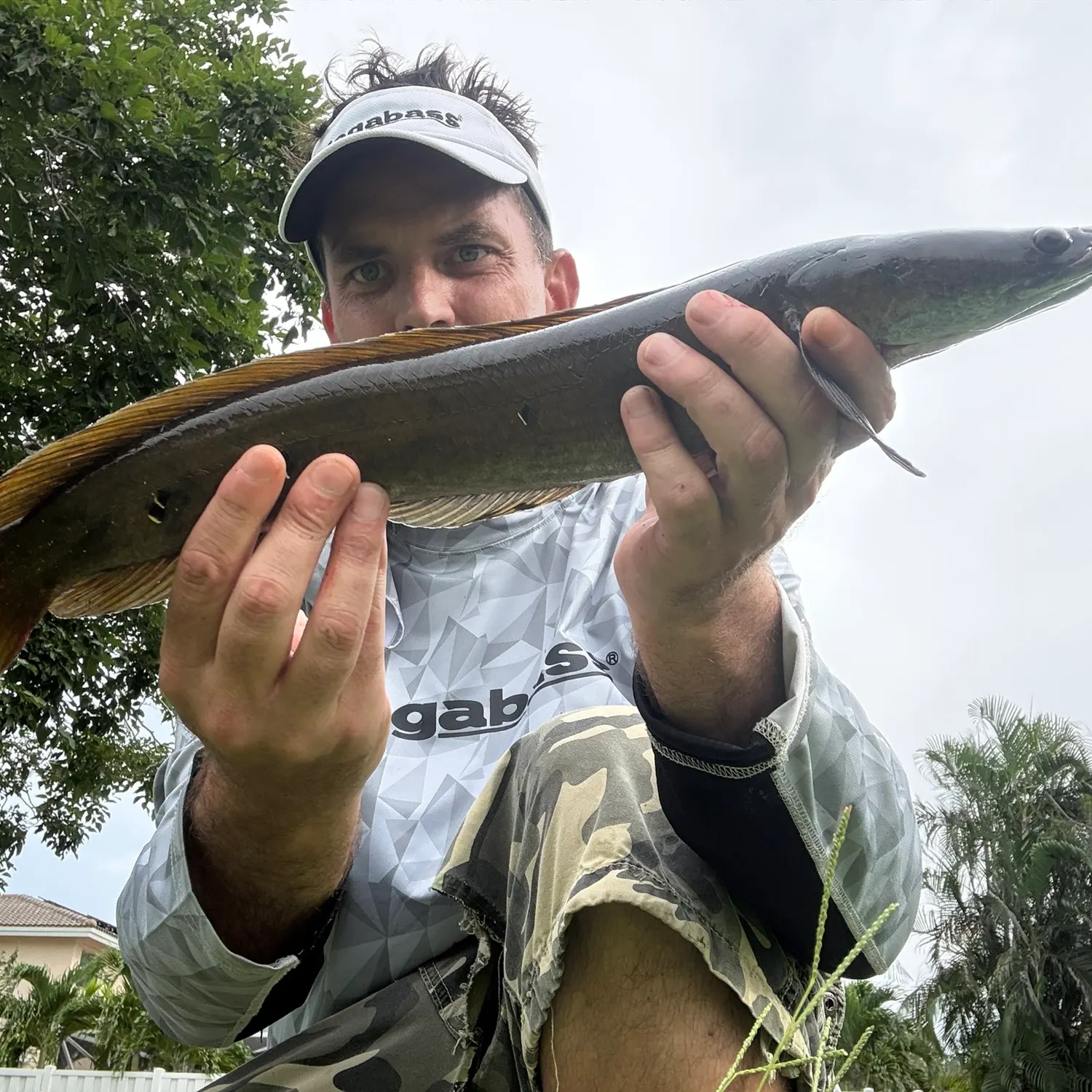 Bullseye snakehead caught on Fishbrain