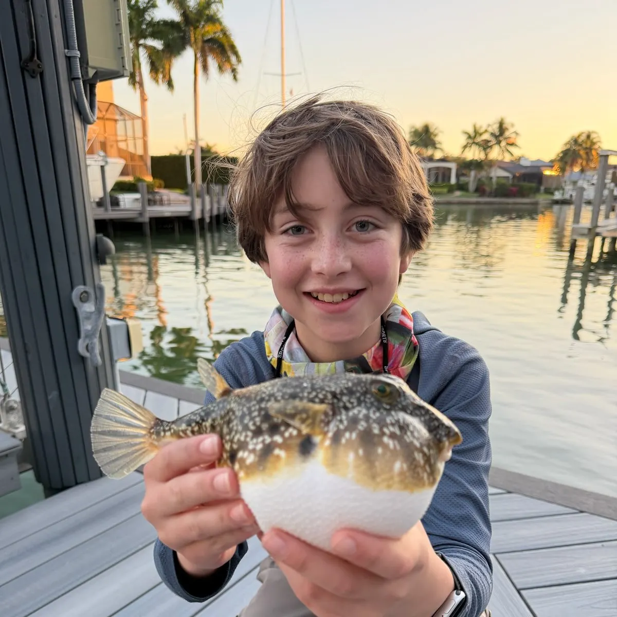 The most recent Northern puffer catches on Fishbrain