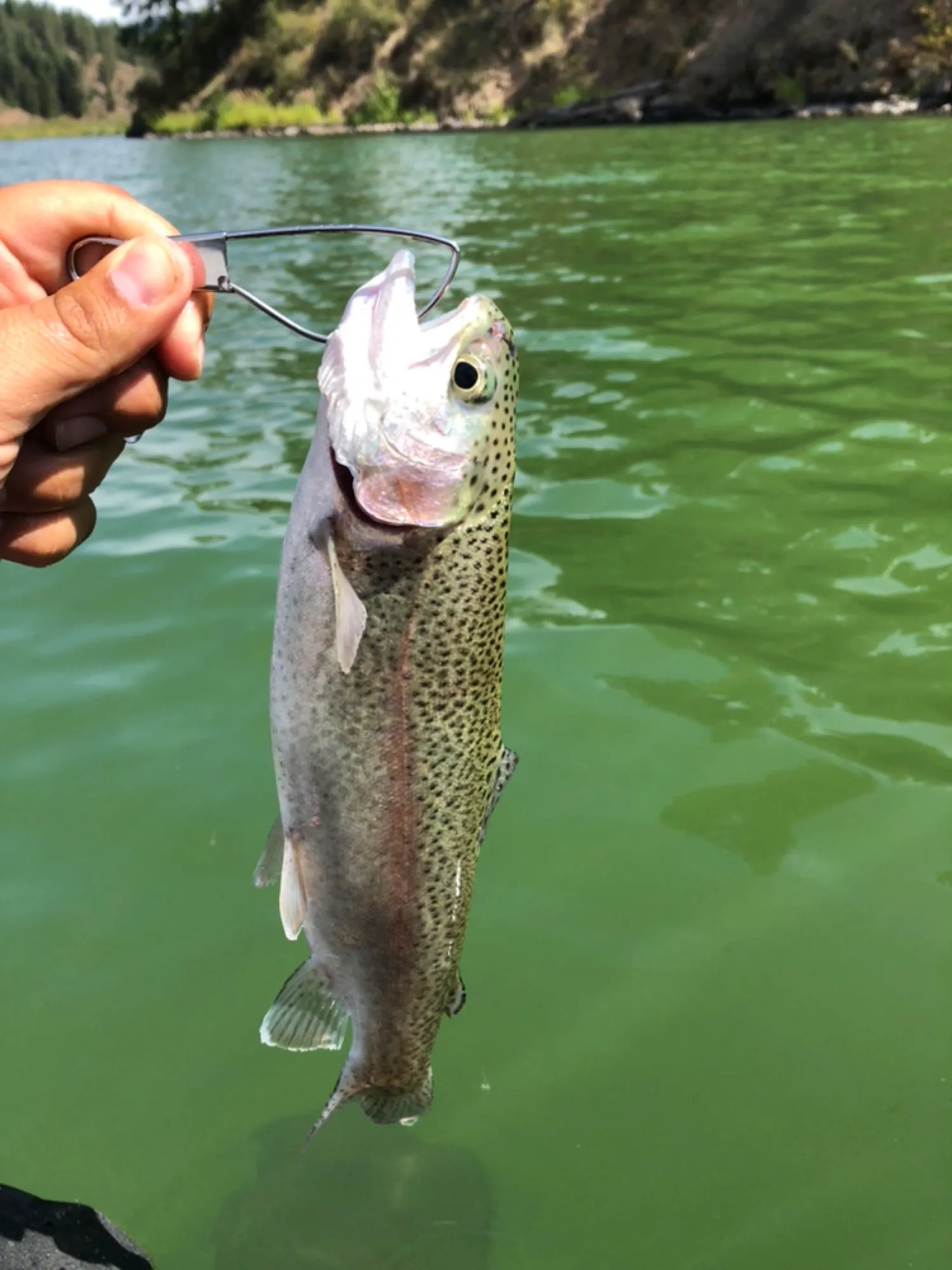 Post image from dbarsi