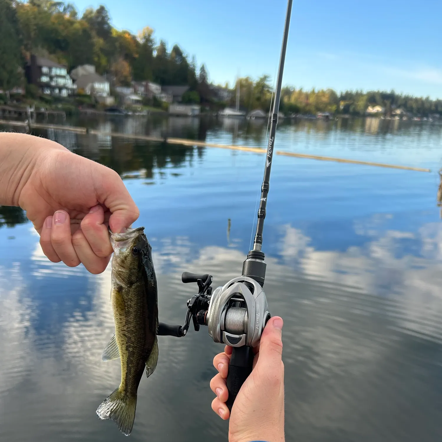 Largemouth bass caught on Fishbrain