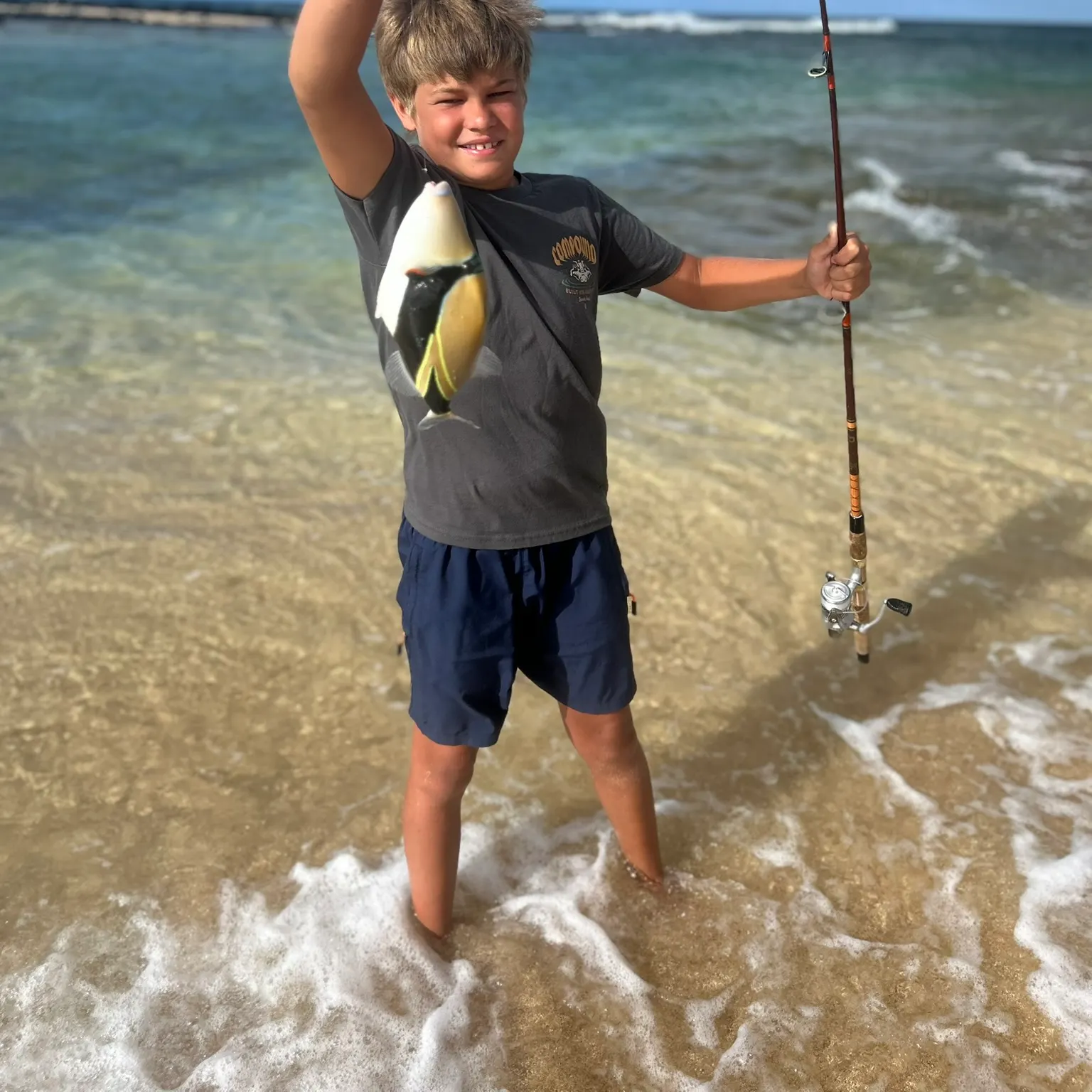 The most recent Wedge-tail triggerfish catches on Fishbrain