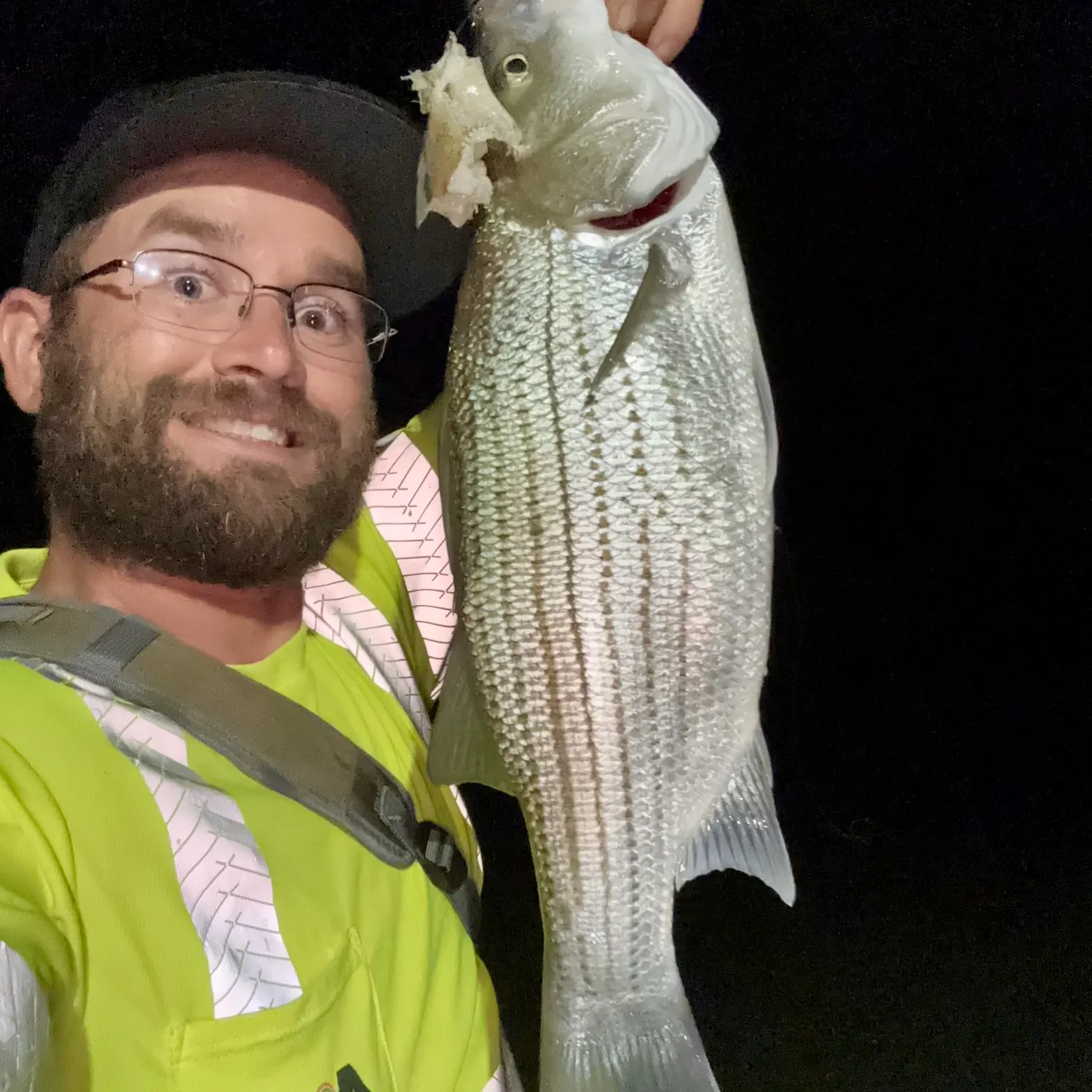 ᐅ Patoka Lake fishing reports🎣• Jasper, IN (United States) fishing