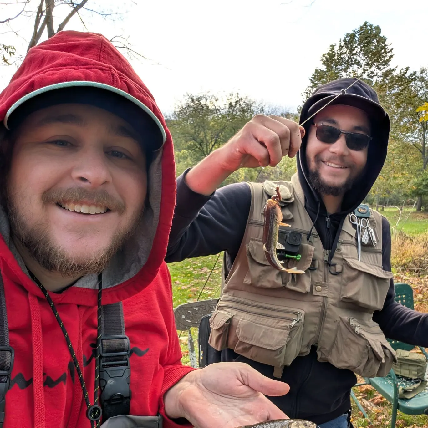 Creek chub caught on Fishbrain
