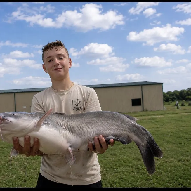 Blue catfish caught on Fishbrain