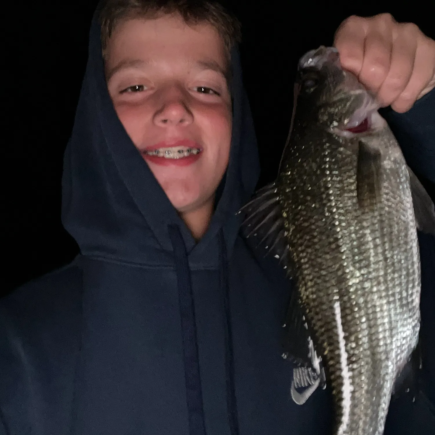 White perch caught on Fishbrain