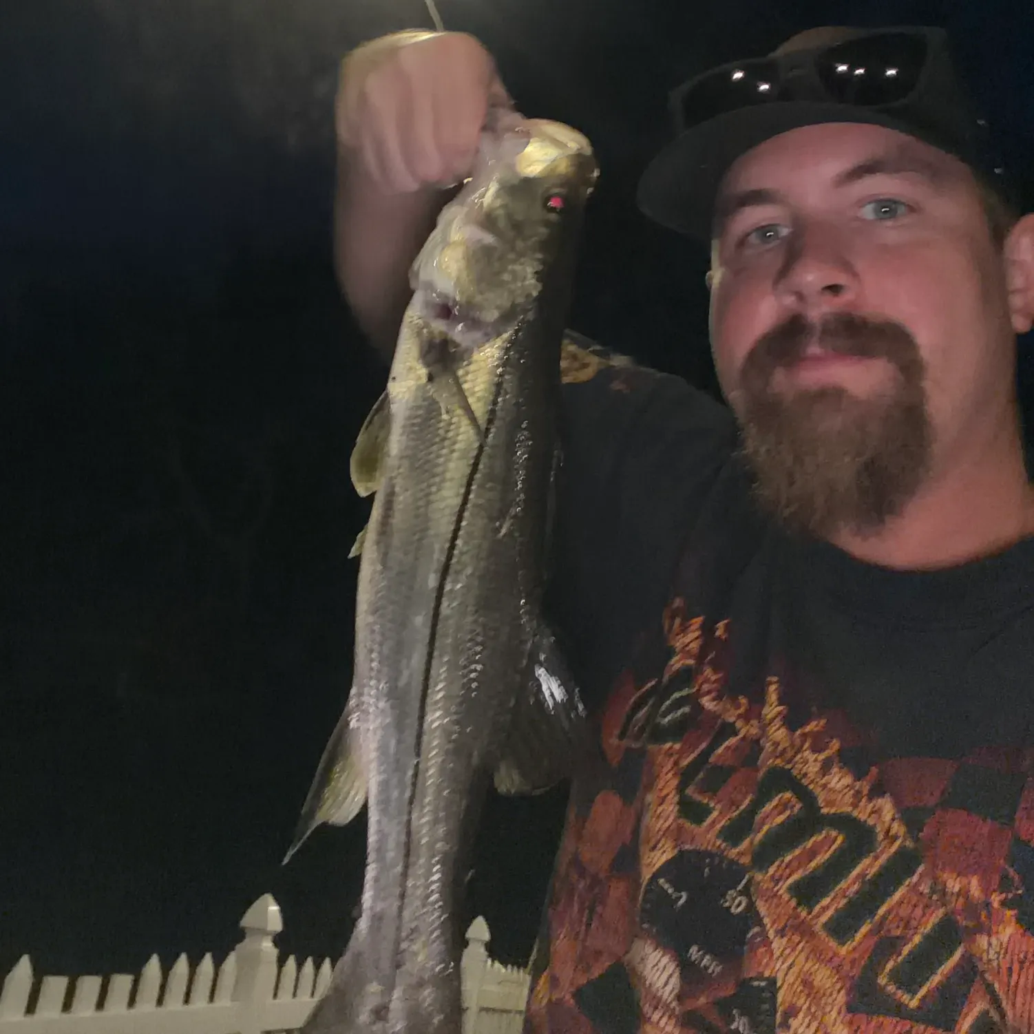 The most recent Common snook catches on Fishbrain
