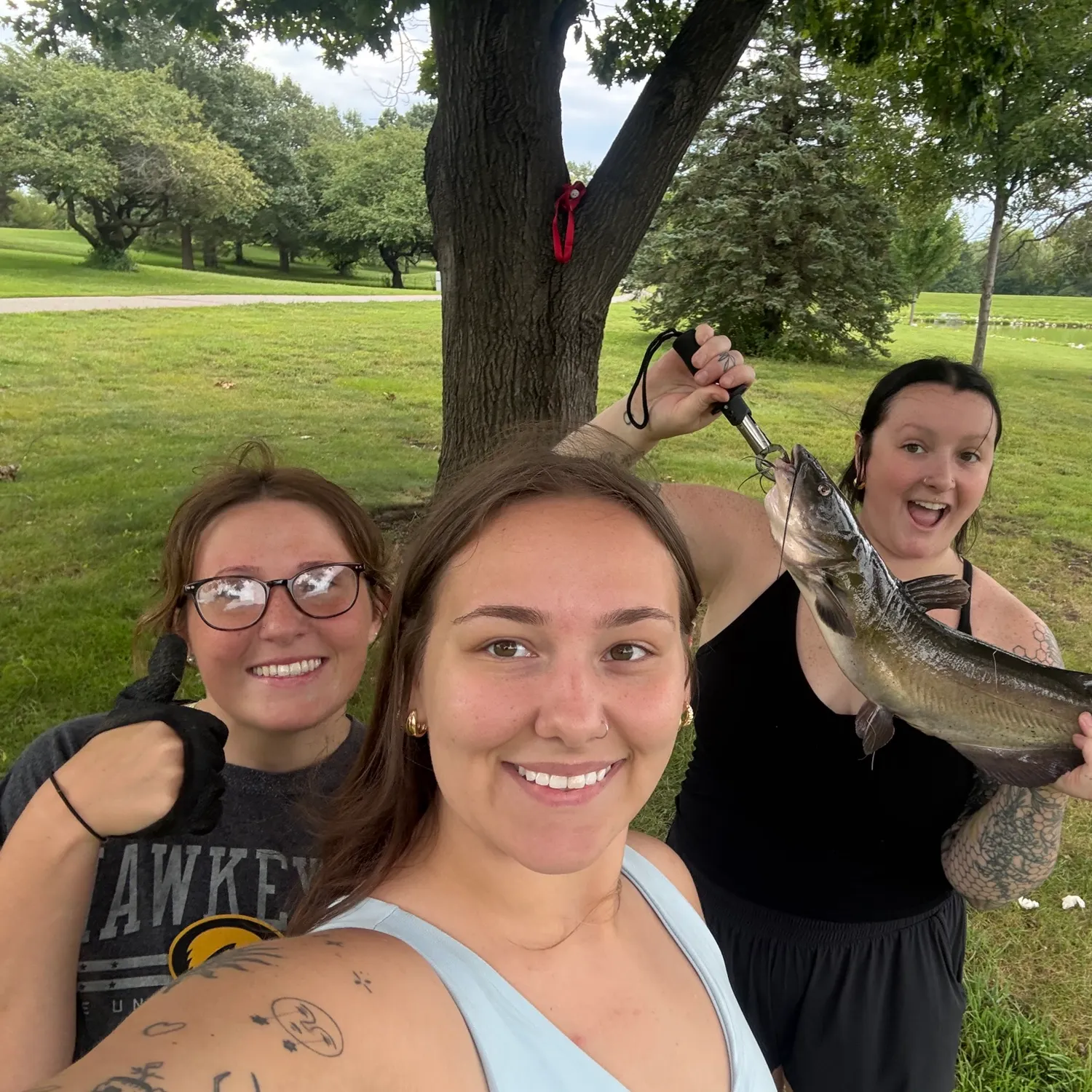 Channel catfish caught on Fishbrain
