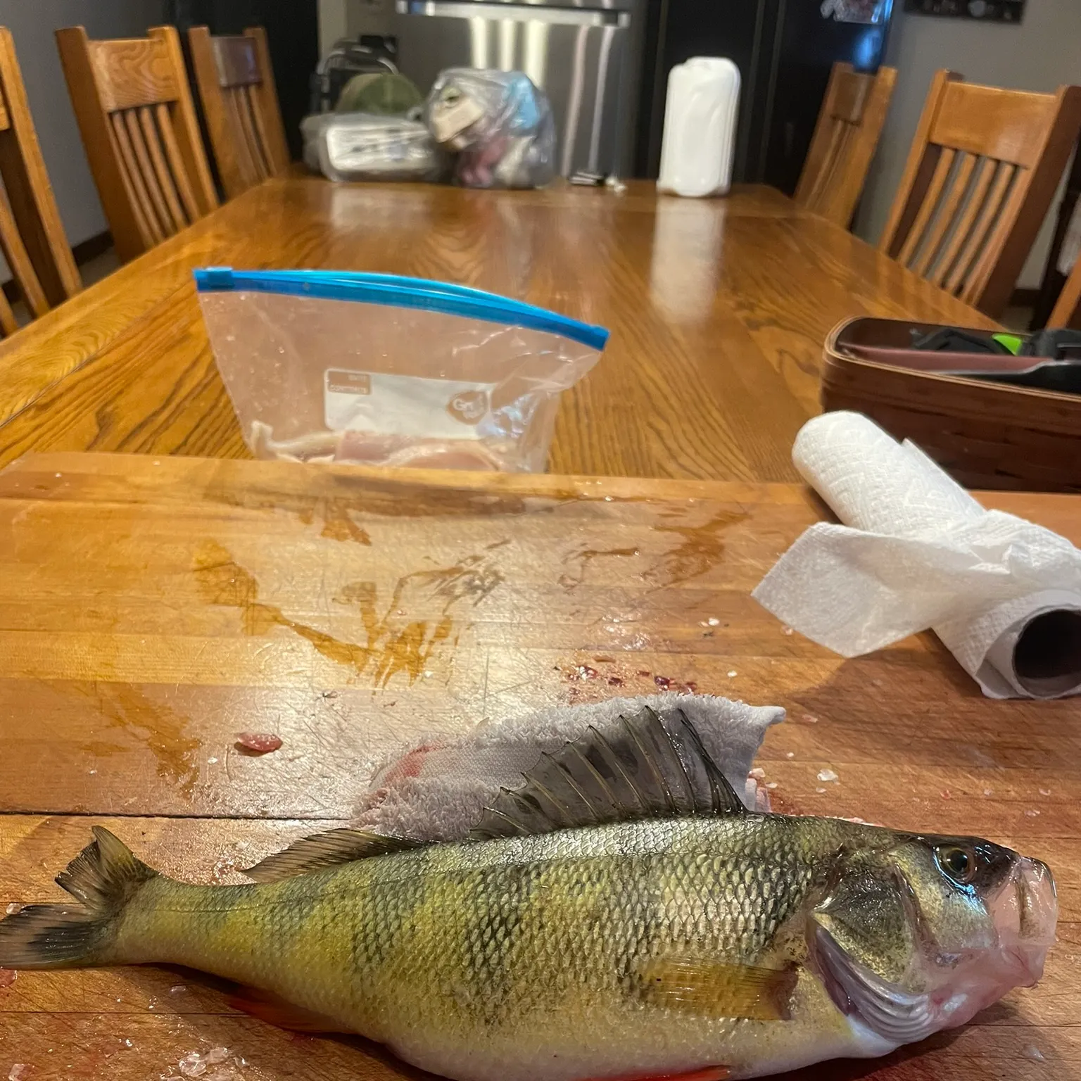 catch