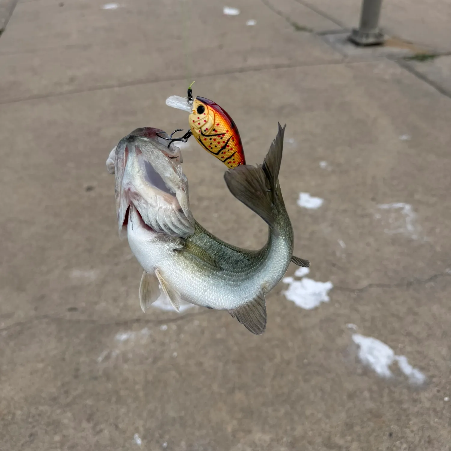 catch