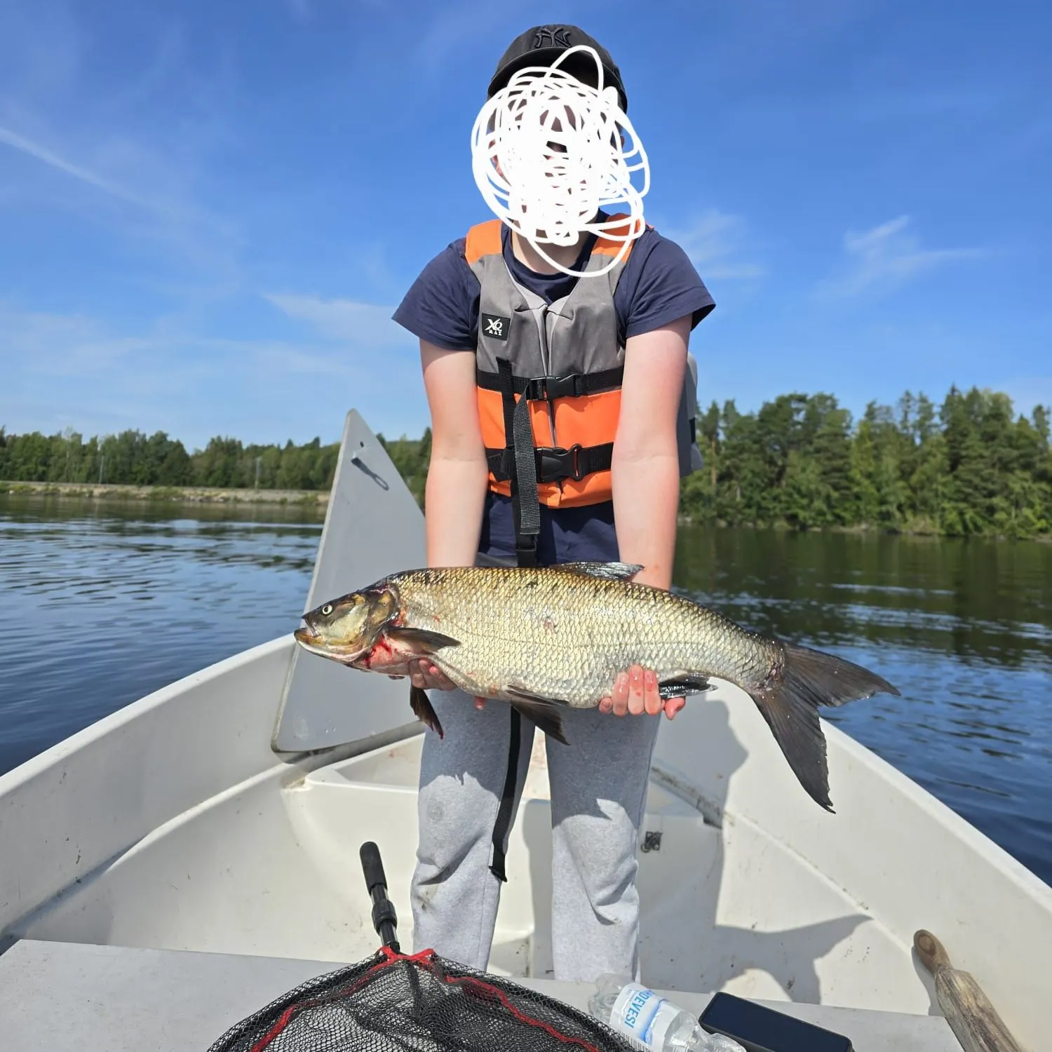 Asp caught on Fishbrain